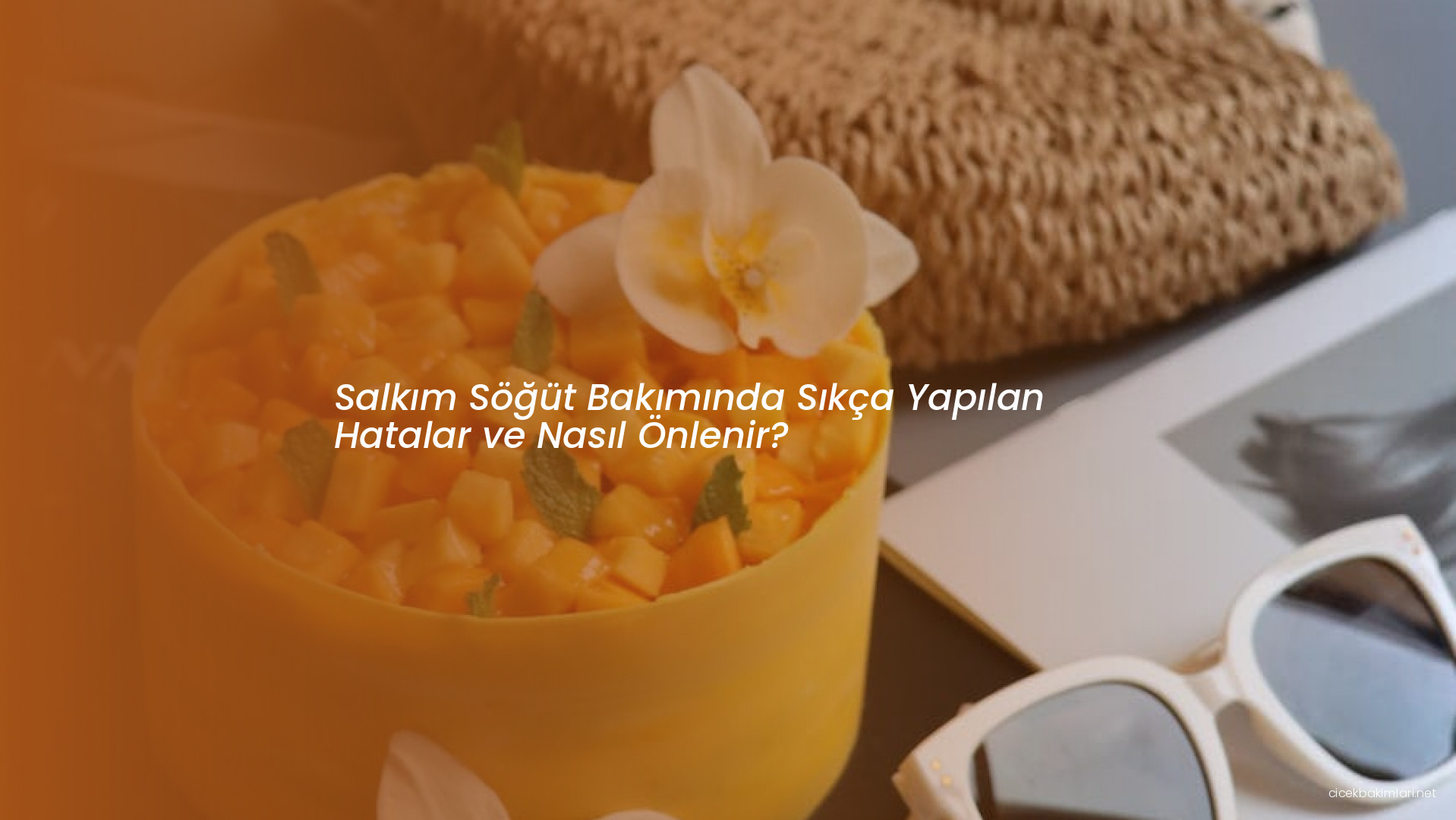Salkım Söğüt Bakımında Sıkça Yapılan Hatalar ve Nasıl Önlenir?