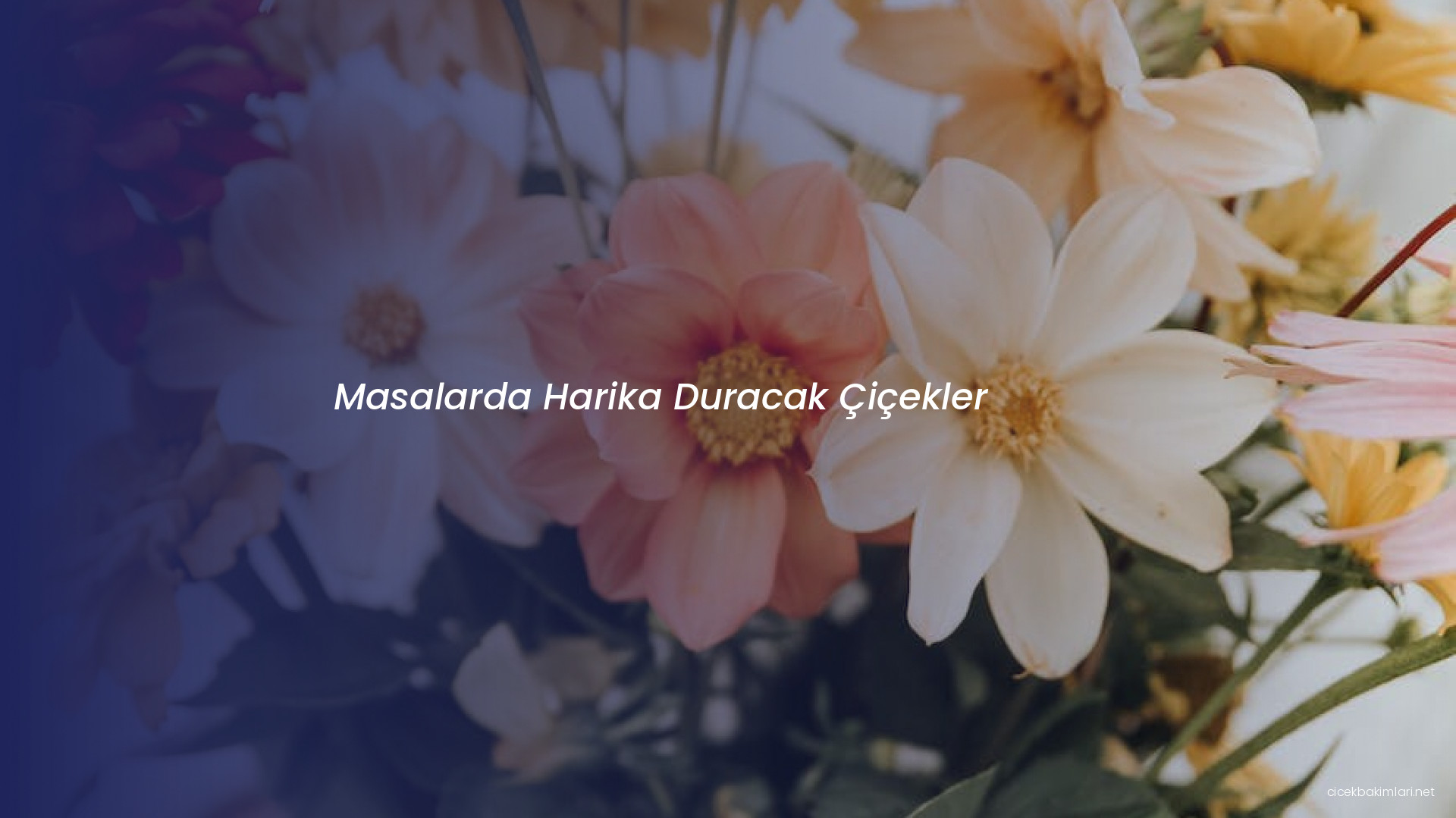 Masalarda Harika Duracak Çiçekler