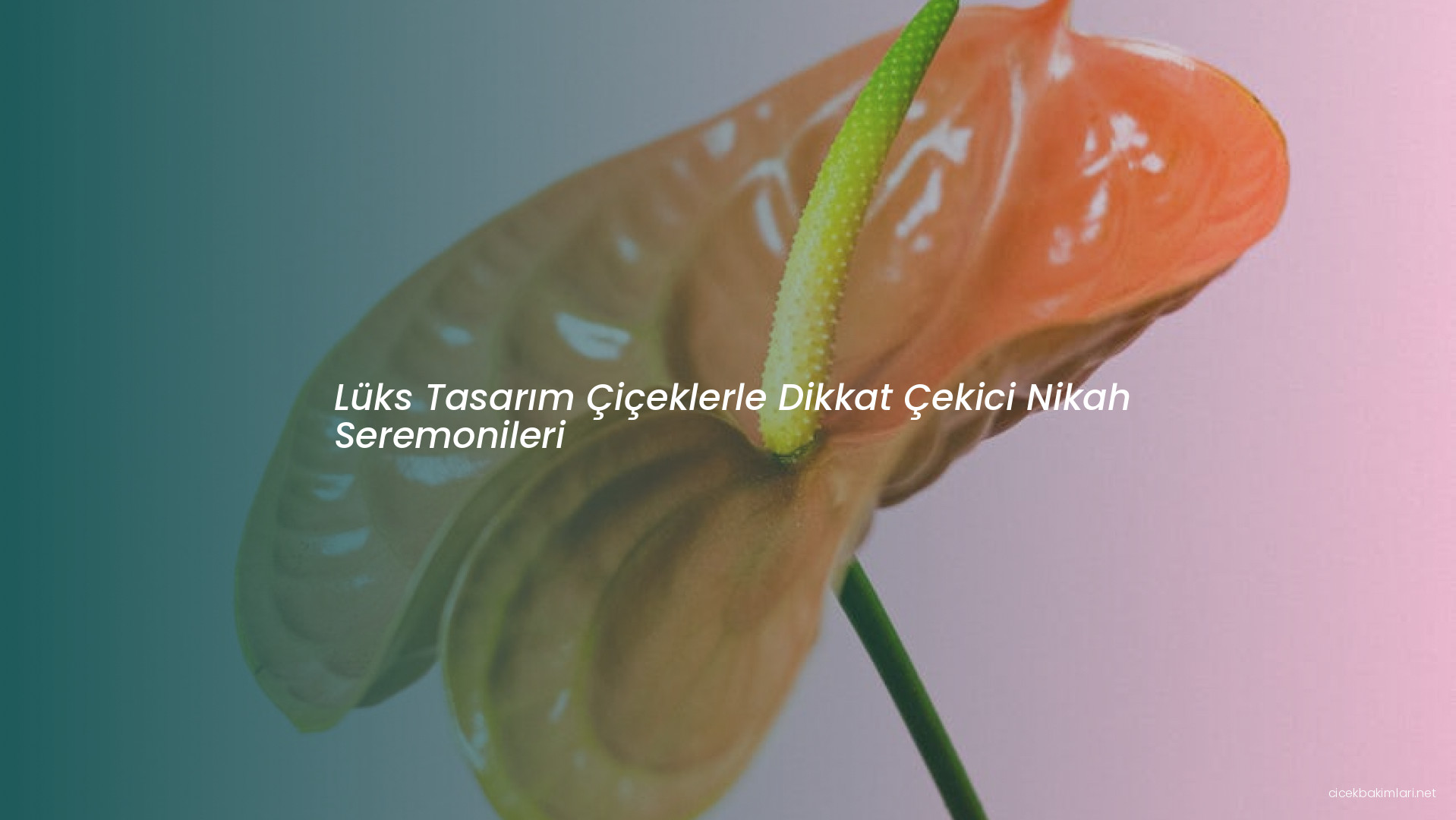 Lüks Tasarım Çiçeklerle Dikkat Çekici Nikah Seremonileri