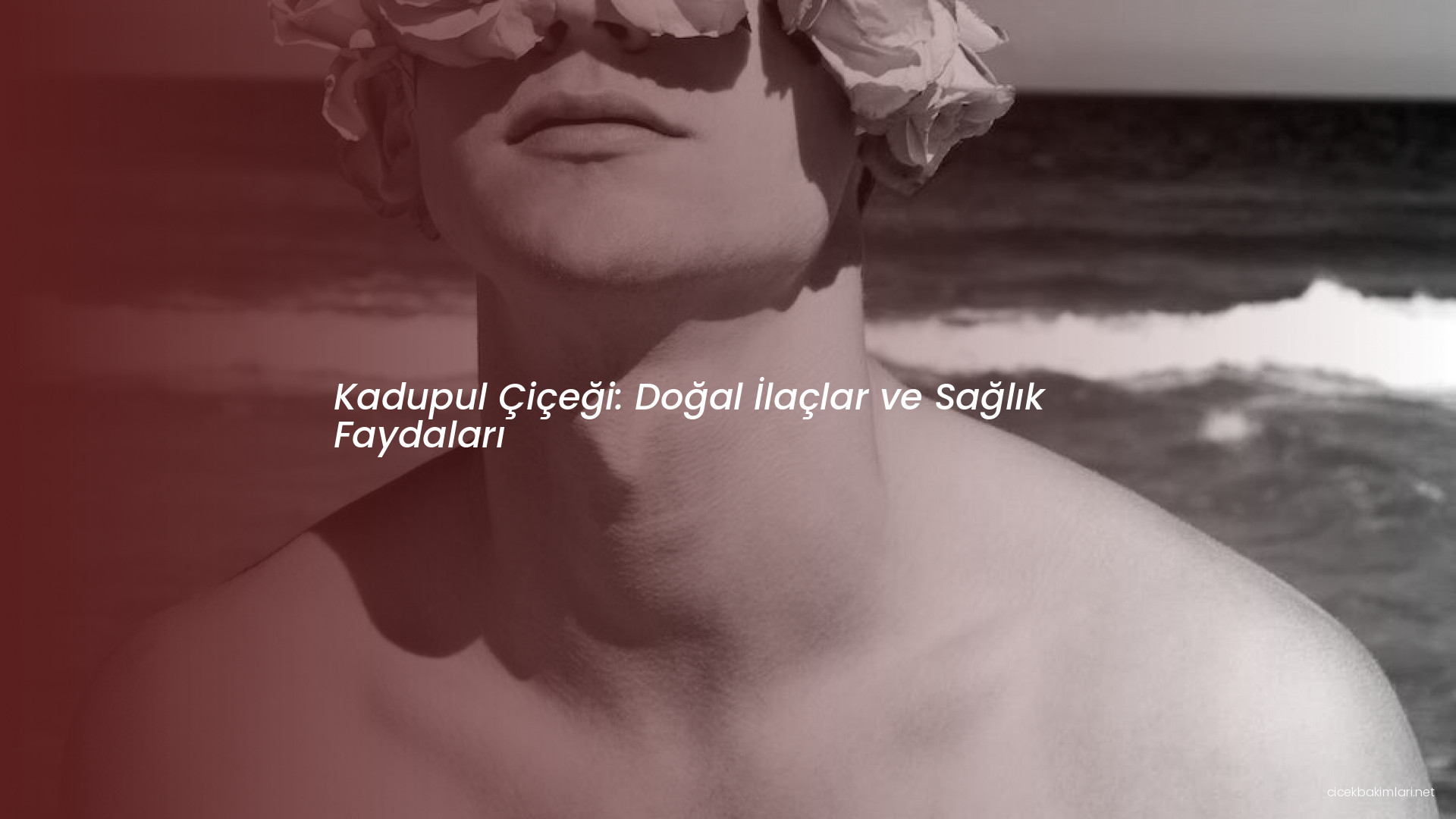 Kadupul Çiçeği: Doğal İlaçlar ve Sağlık Faydaları