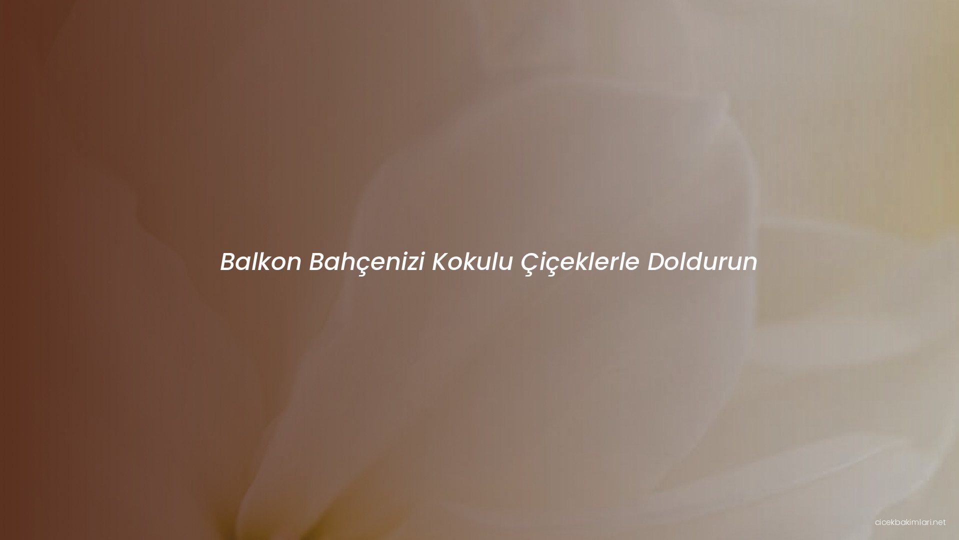 Balkon Bahçenizi Kokulu Çiçeklerle Doldurun