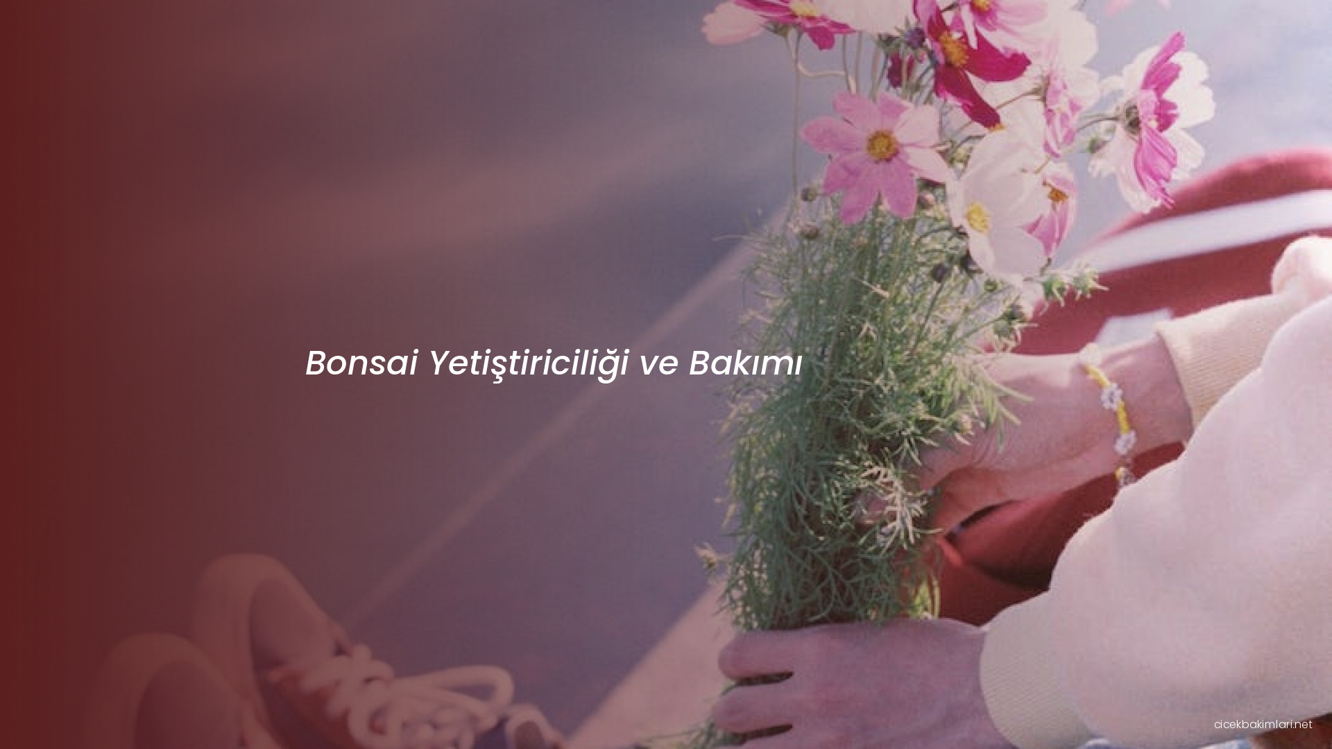 Bonsai Yetiştiriciliği ve Bakımı