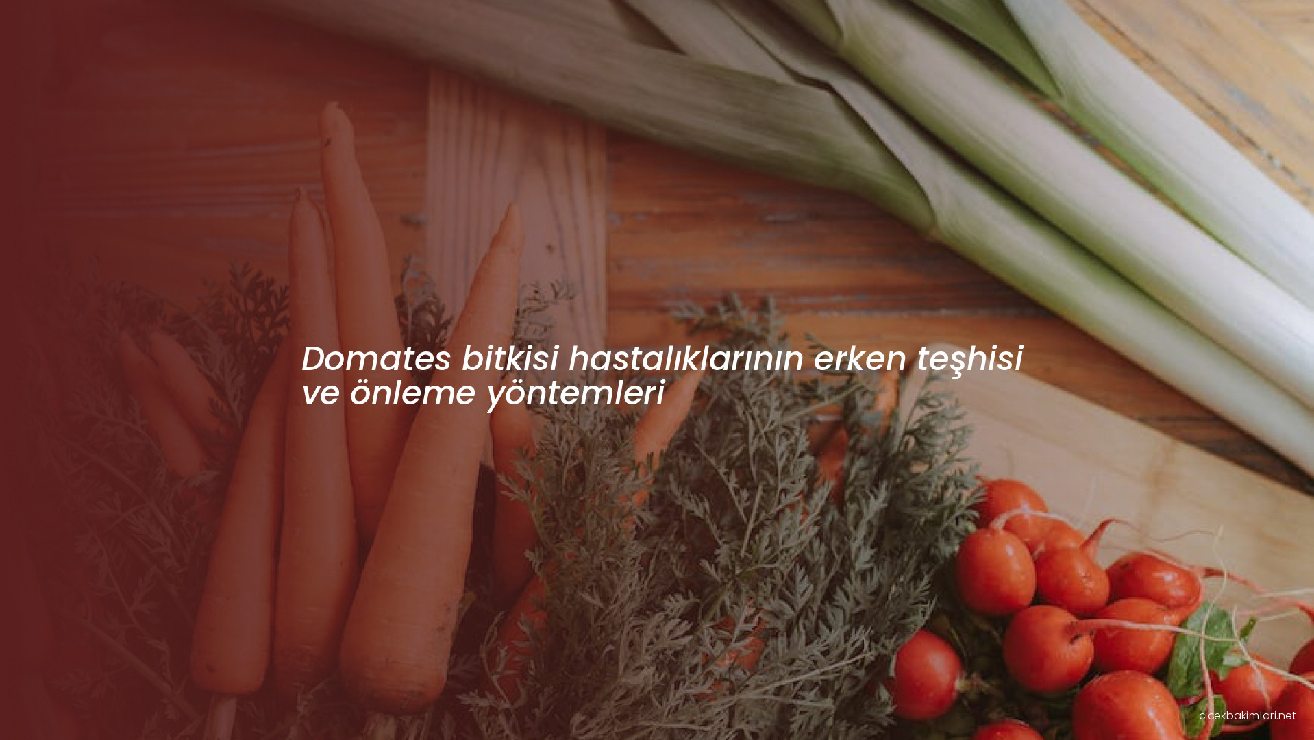 Domates bitkisi hastalıklarının erken teşhisi ve önleme yöntemleri