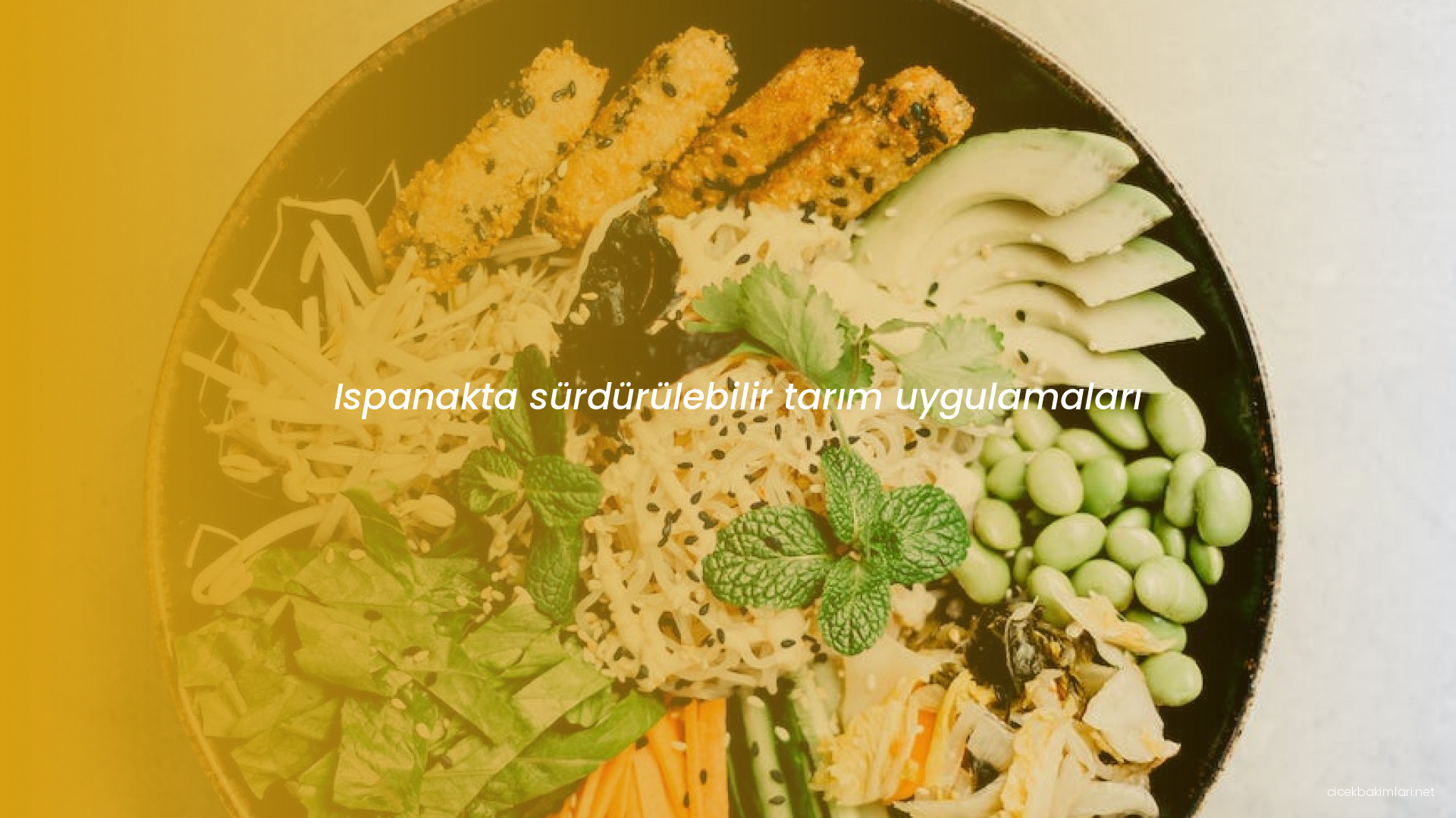 Ispanakta sürdürülebilir tarım uygulamaları