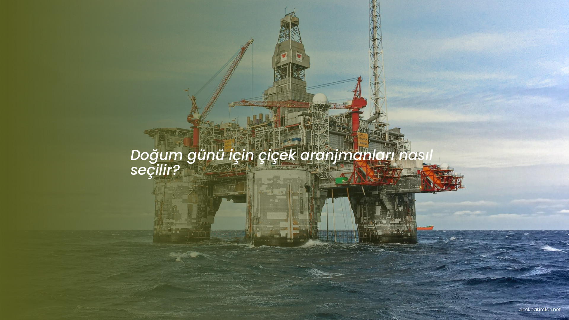 Doğum günü için çiçek aranjmanları nasıl seçilir?