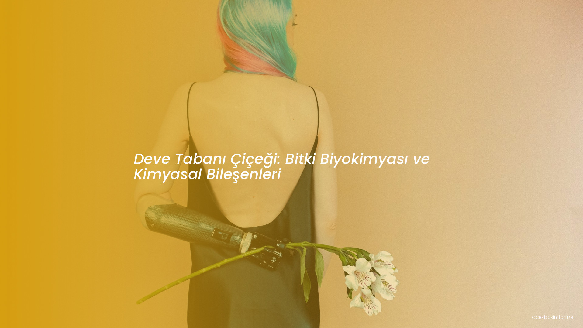 Deve Tabanı Çiçeği: Bitki Biyokimyası ve Kimyasal Bileşenleri