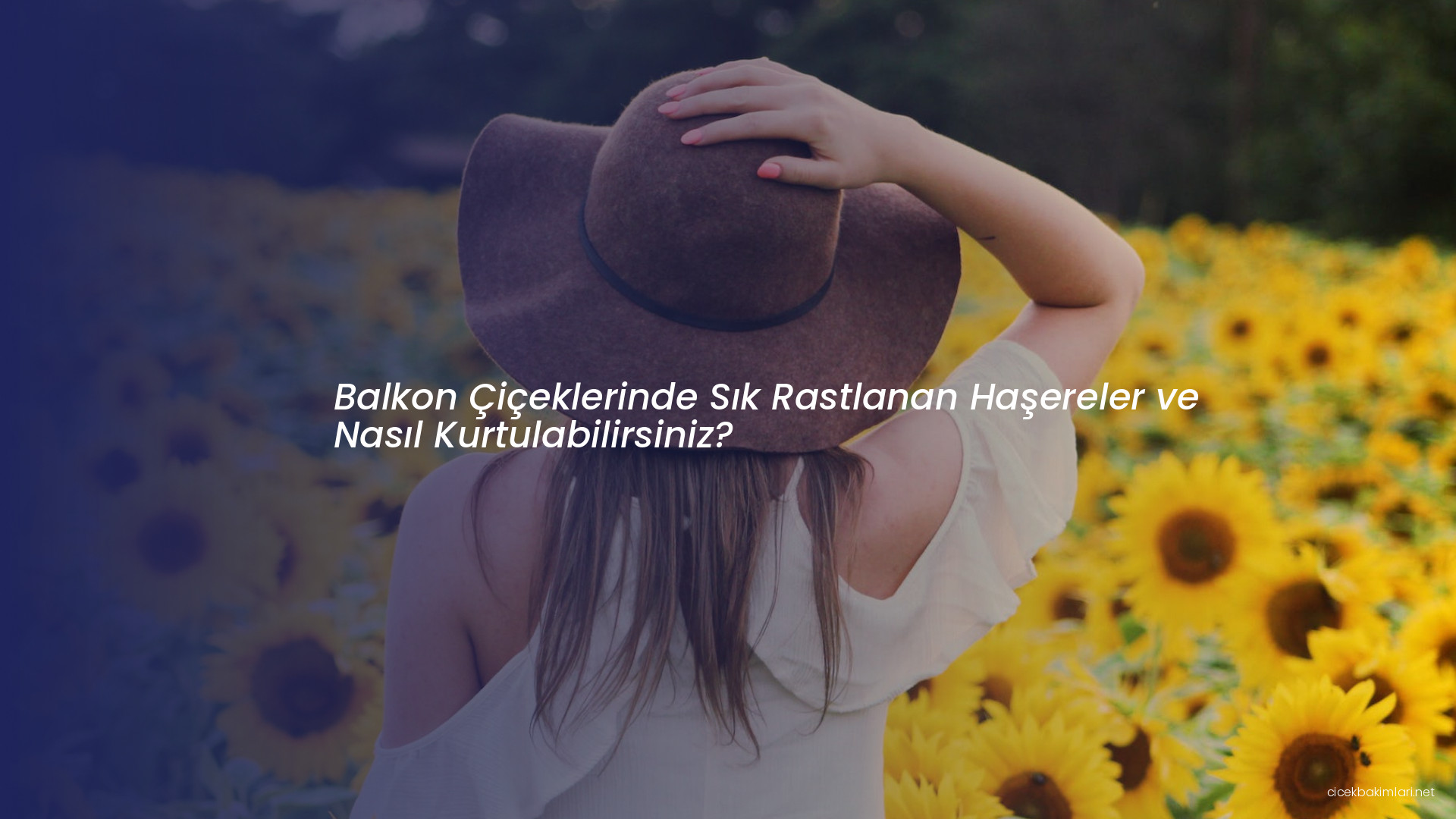 Balkon Çiçeklerinde Sık Rastlanan Haşereler ve Nasıl Kurtulabilirsiniz?