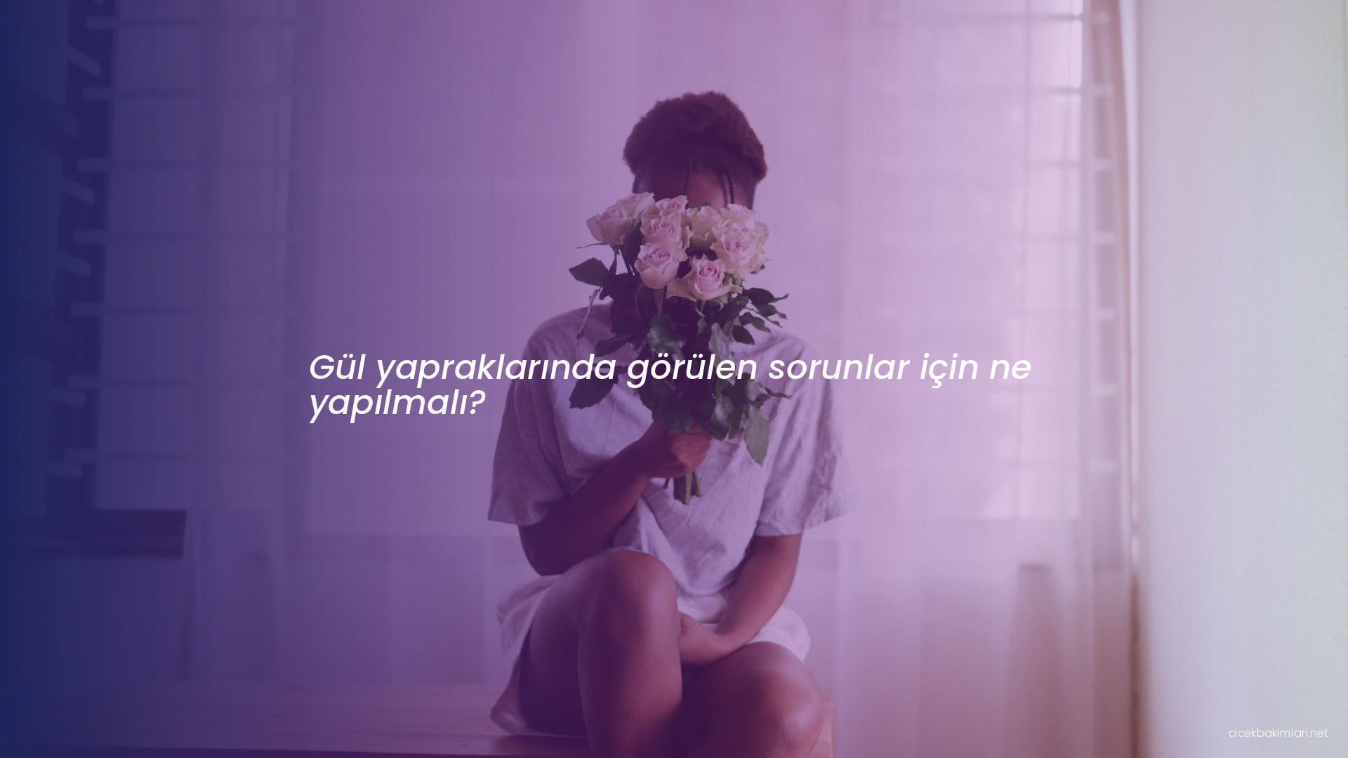 Gül yapraklarında görülen sorunlar için ne yapılmalı?