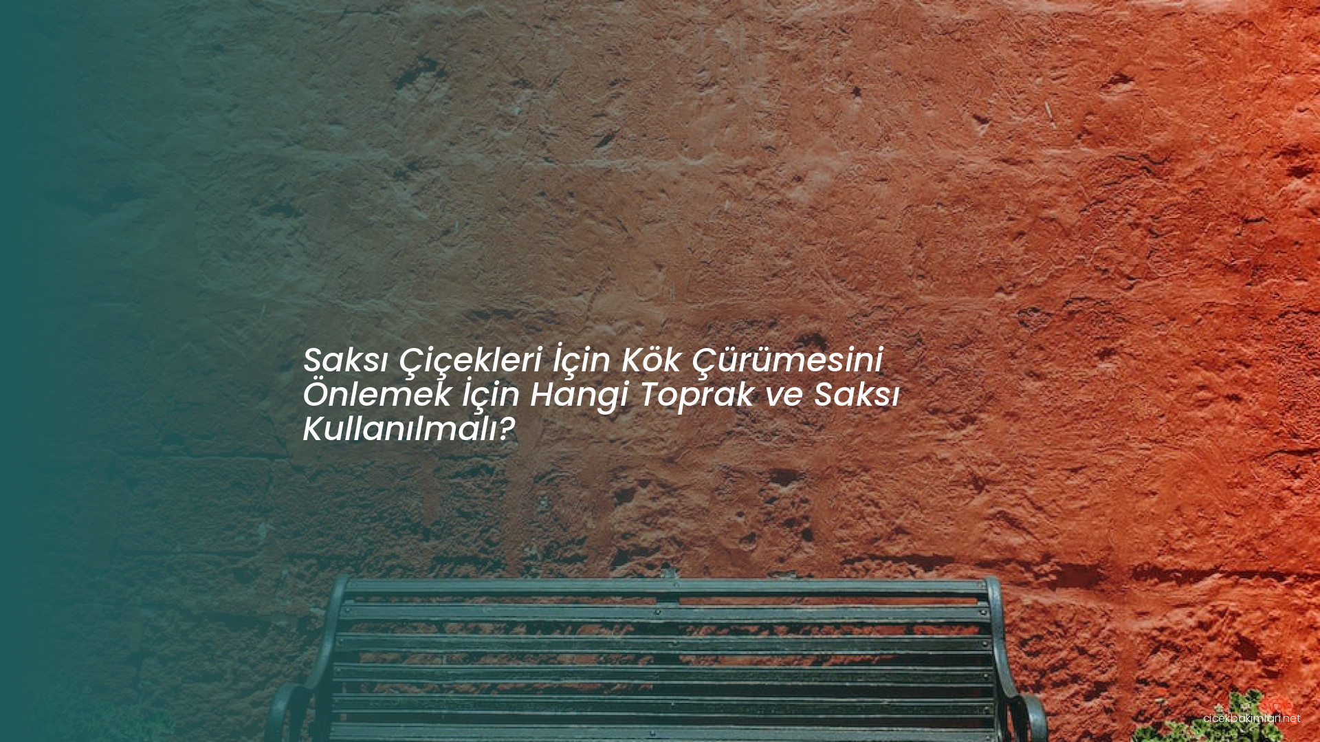 Saksı Çiçekleri İçin Kök Çürümesini Önlemek İçin Hangi Toprak ve Saksı Kullanılmalı?