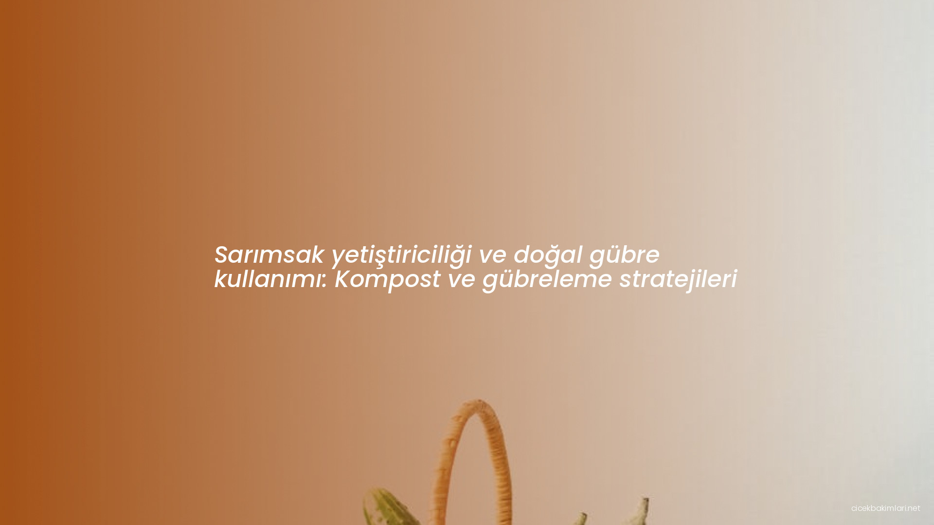 Sarımsak yetiştiriciliği ve doğal gübre kullanımı: Kompost ve gübreleme stratejileri