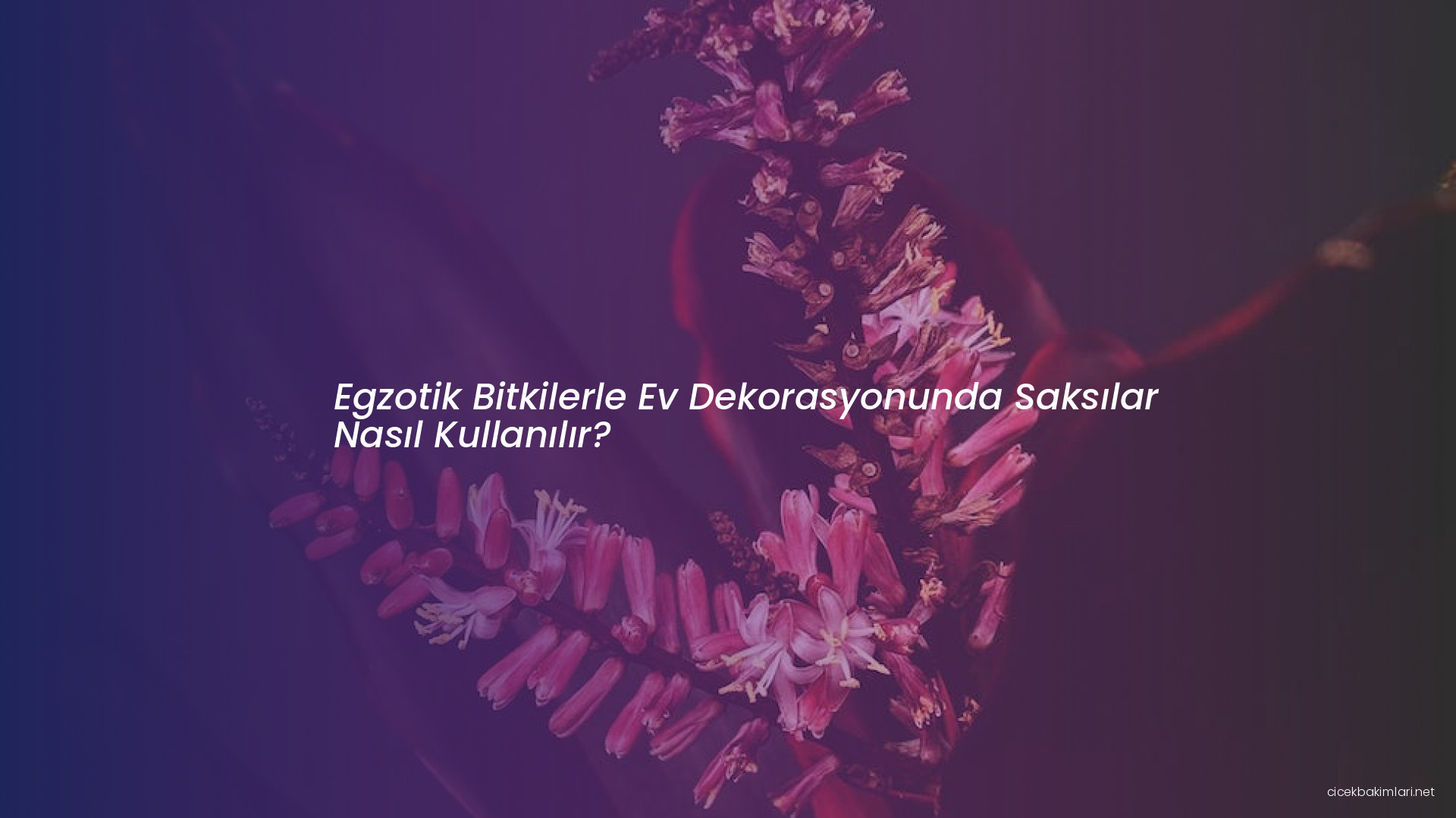 Egzotik Bitkilerle Ev Dekorasyonunda Saksılar Nasıl Kullanılır?