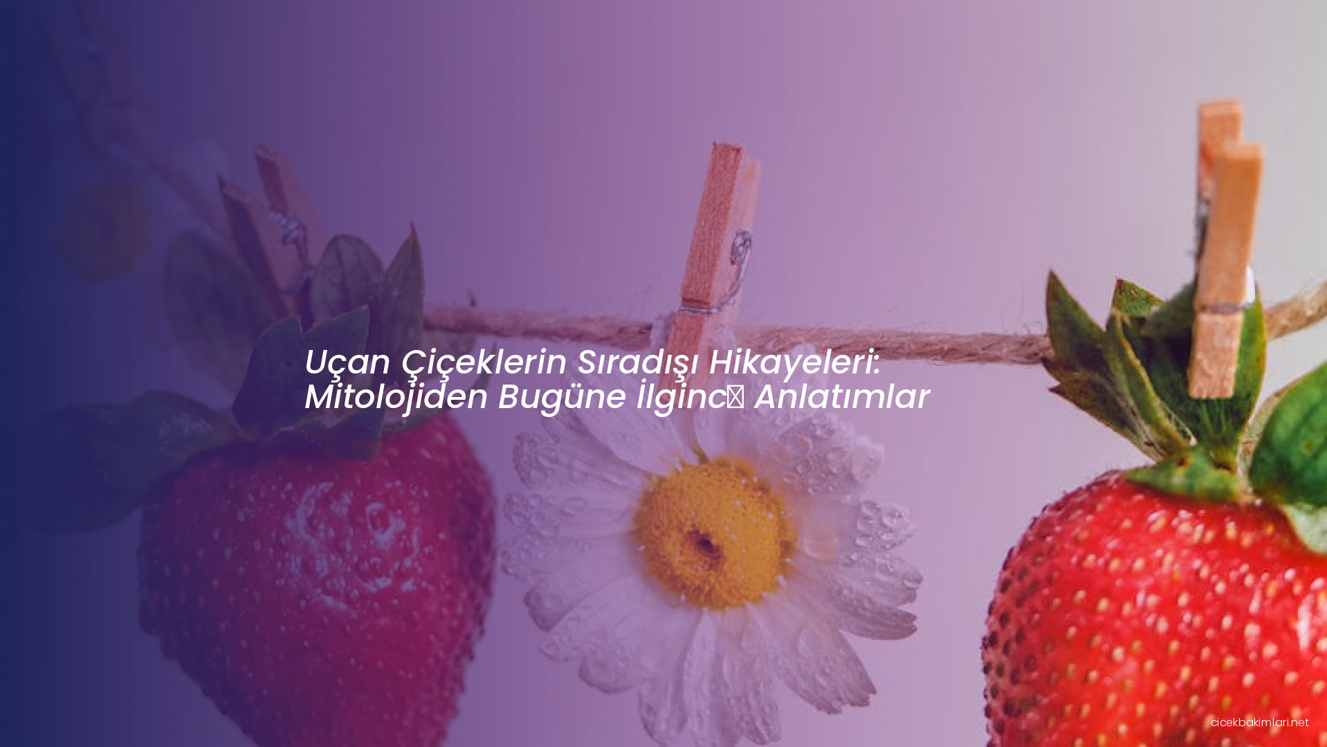 Uçan Çiçeklerin Sıradışı Hikayeleri: Mitolojiden Bugüne İlginç Anlatımlar