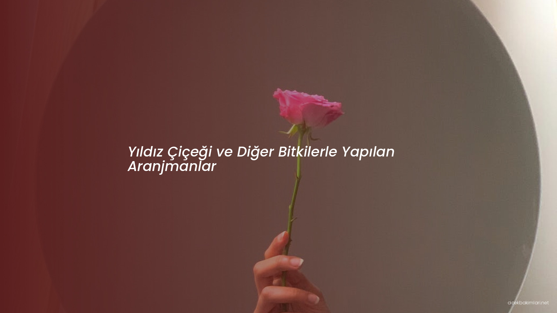 Yıldız Çiçeği ve Diğer Bitkilerle Yapılan Aranjmanlar