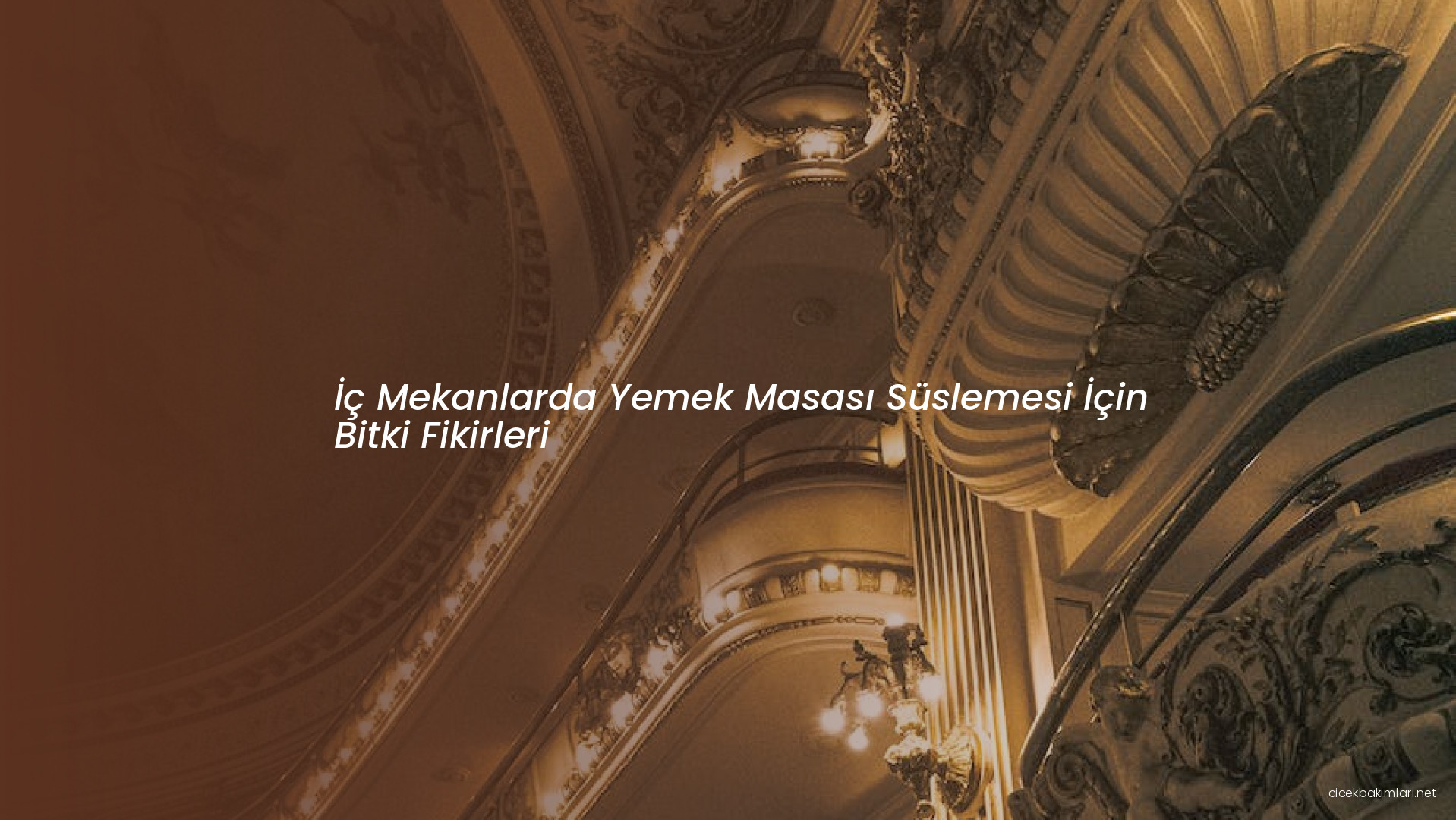 İç Mekanlarda Yemek Masası Süslemesi İçin Bitki Fikirleri