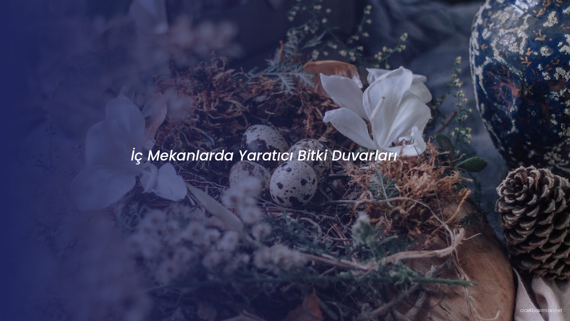 İç Mekanlarda Yaratıcı Bitki Duvarları