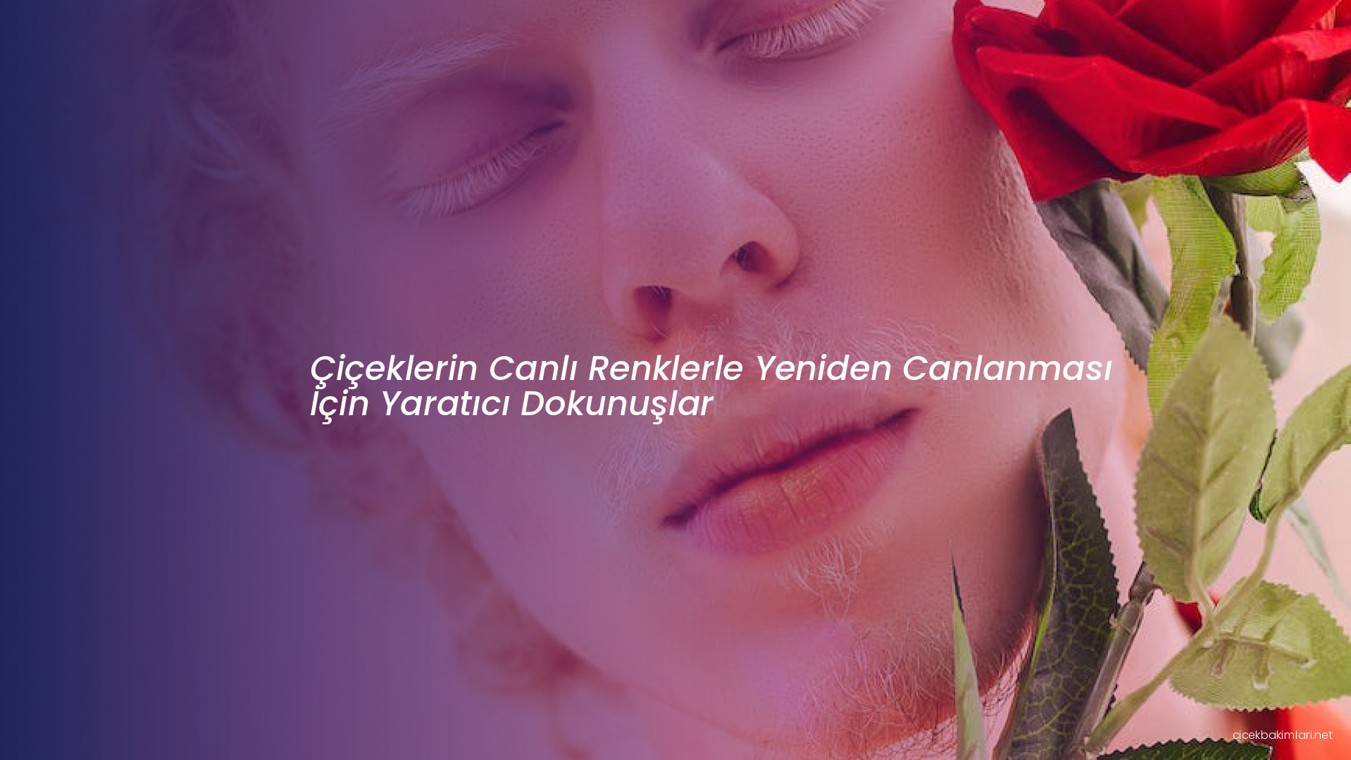 Çiçeklerin Canlı Renklerle Yeniden Canlanması İçin Yaratıcı Dokunuşlar