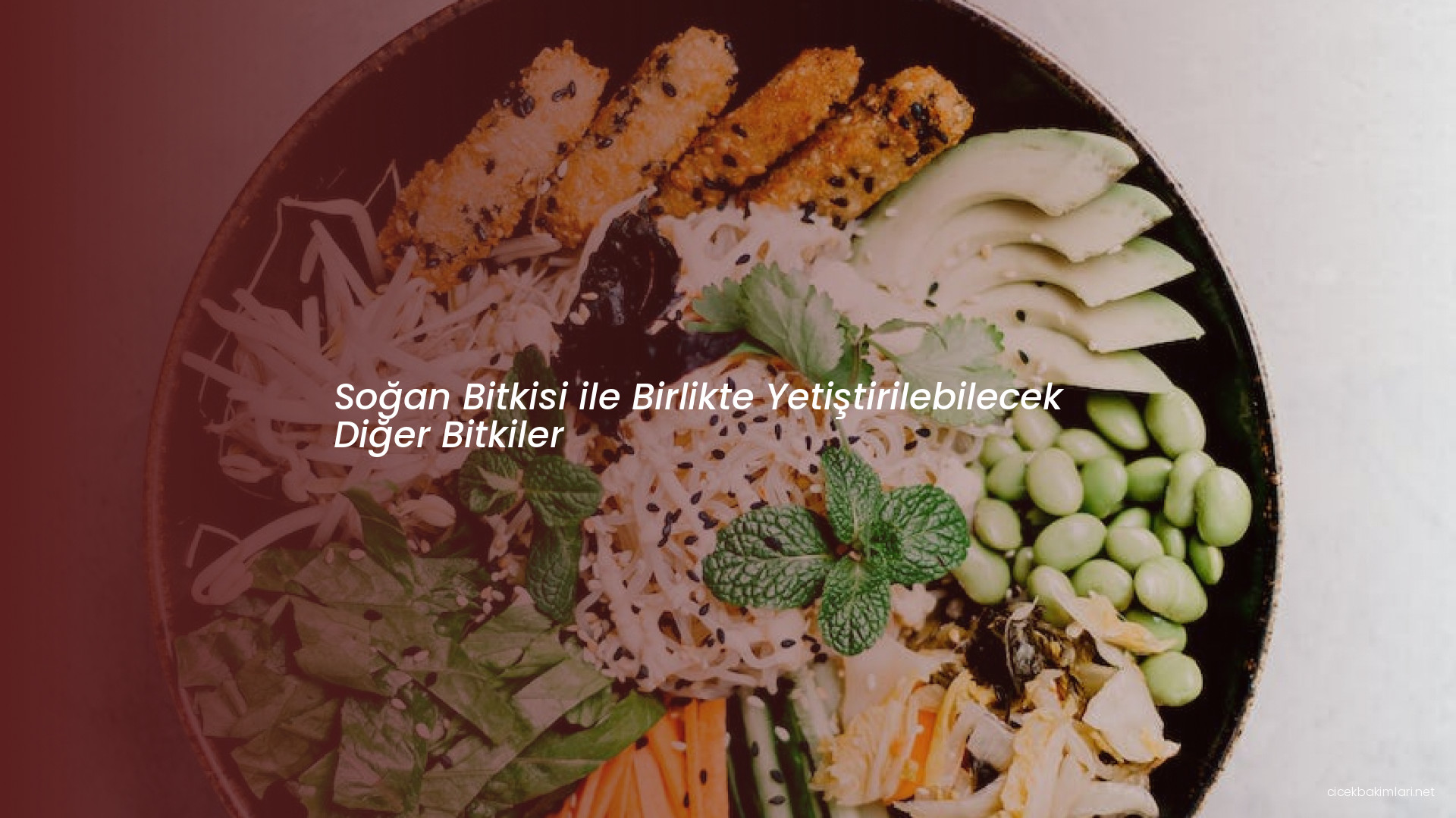 Soğan Bitkisi ile Birlikte Yetiştirilebilecek Diğer Bitkiler