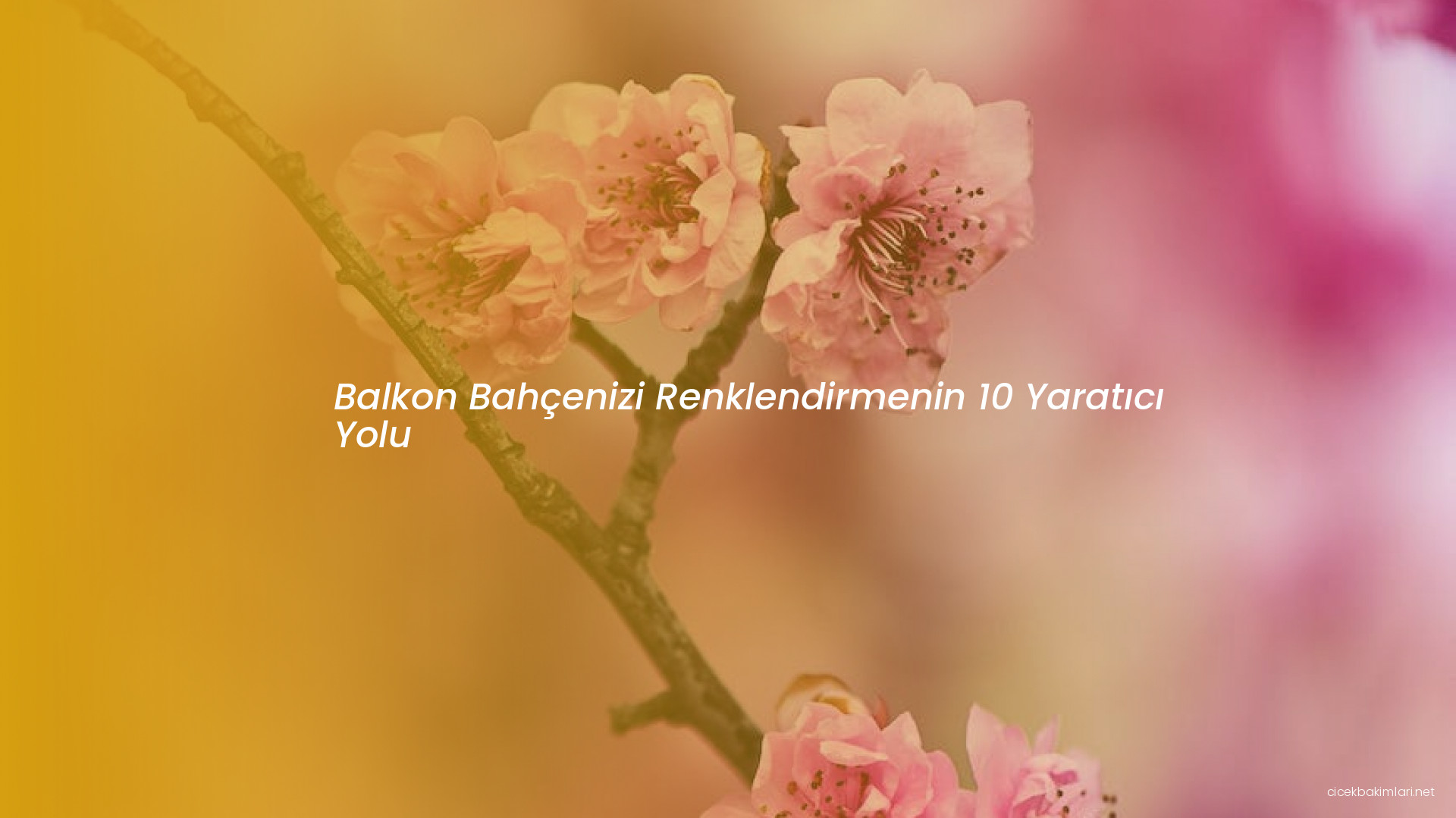 Balkon Bahçenizi Renklendirmenin 10 Yaratıcı Yolu