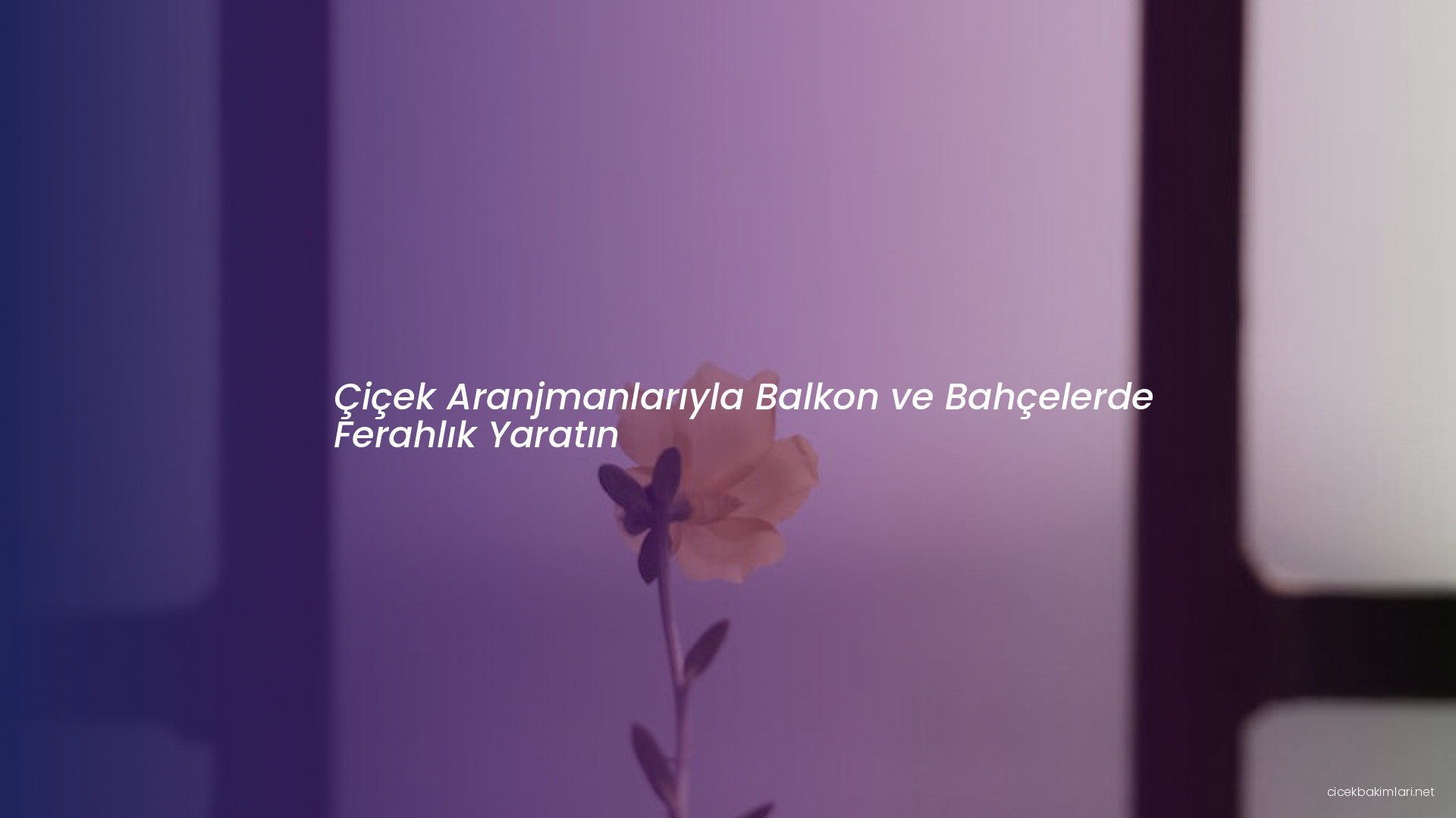Çiçek Aranjmanlarıyla Balkon ve Bahçelerde Ferahlık Yaratın