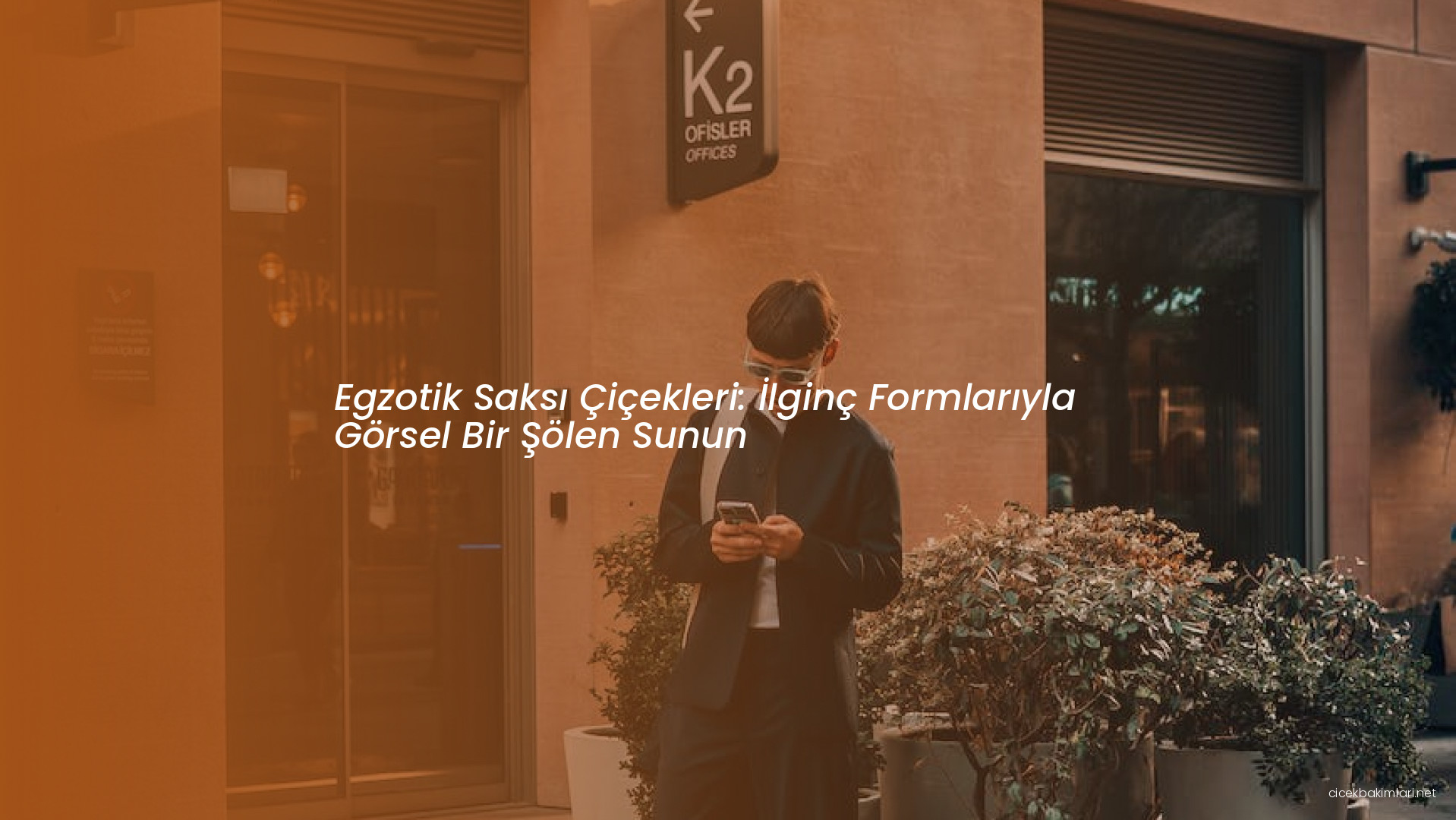 Egzotik Saksı Çiçekleri: İlginç Formlarıyla Görsel Bir Şölen Sunun