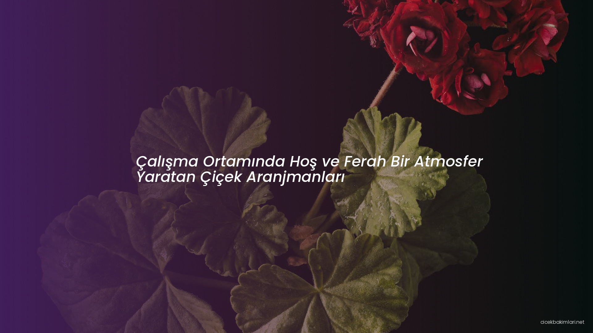 Çalışma Ortamında Hoş ve Ferah Bir Atmosfer Yaratan Çiçek Aranjmanları