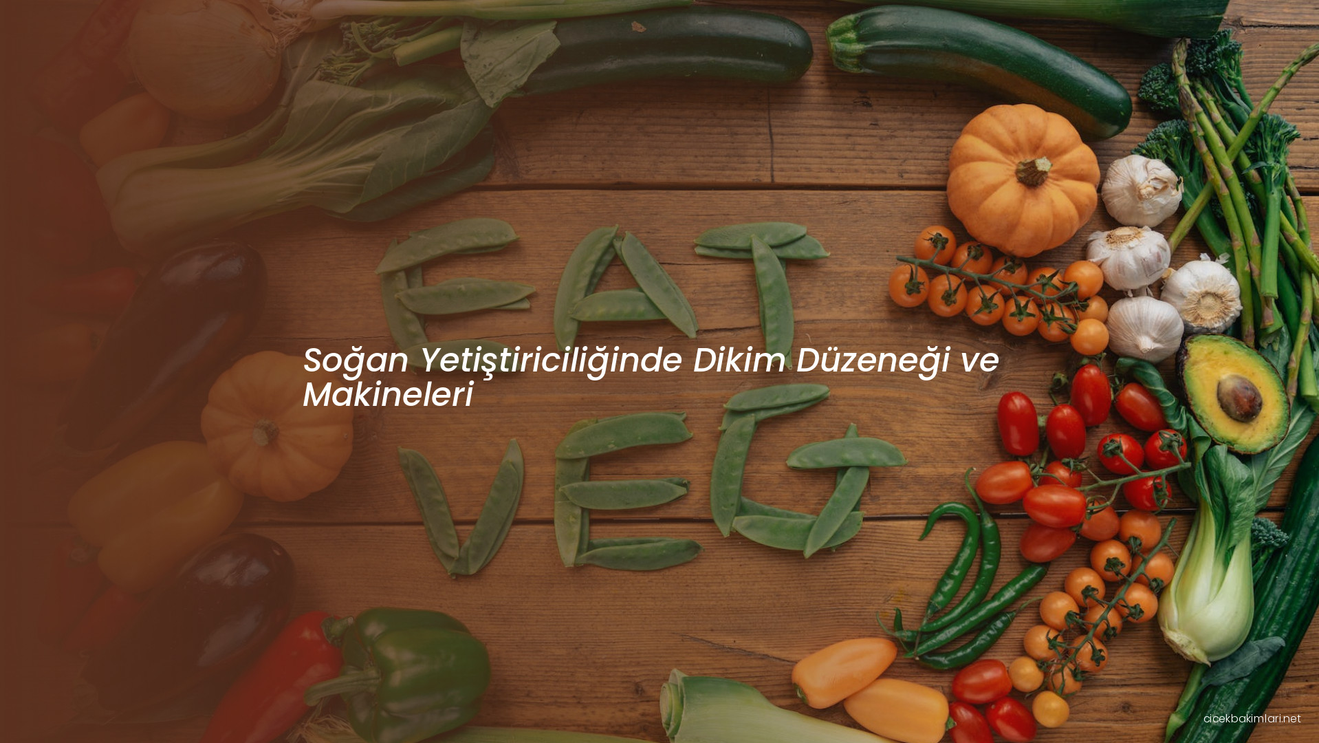 Soğan Yetiştiriciliğinde Dikim Düzeneği ve Makineleri