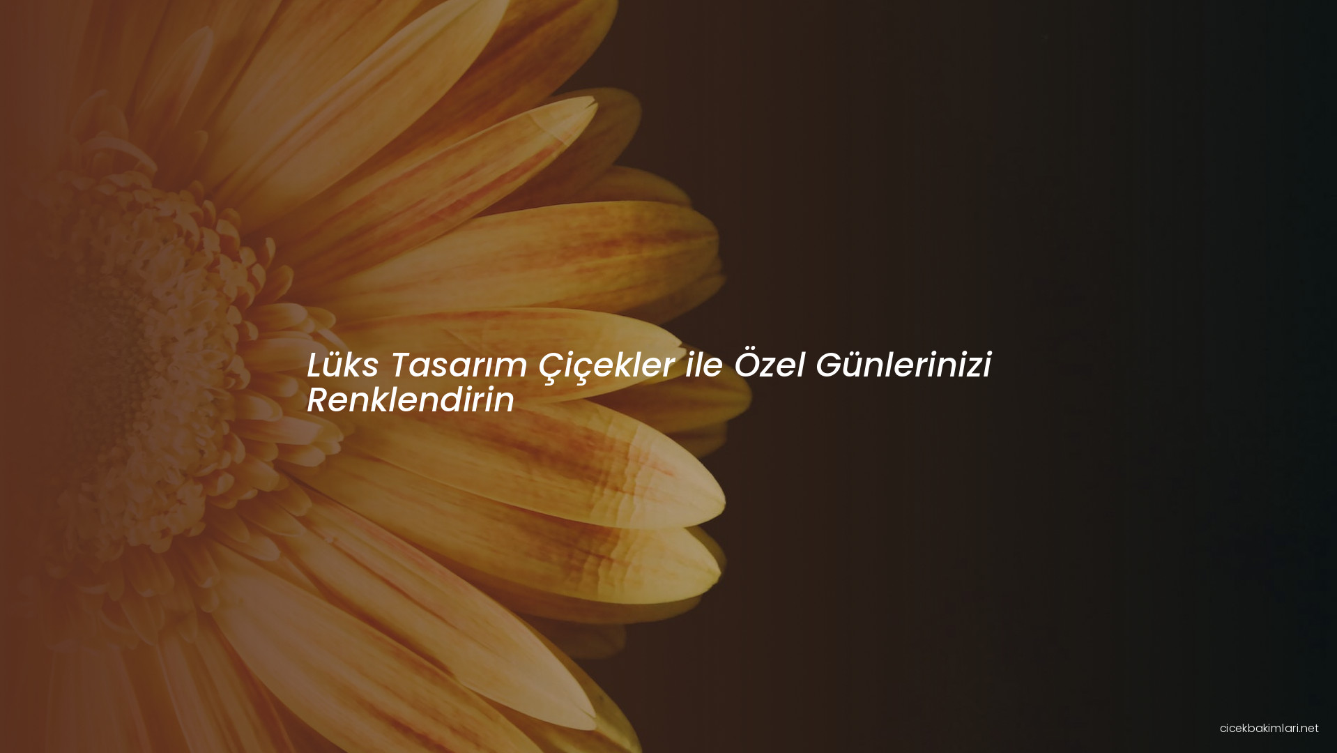 Lüks Tasarım Çiçekler ile Özel Günlerinizi Renklendirin