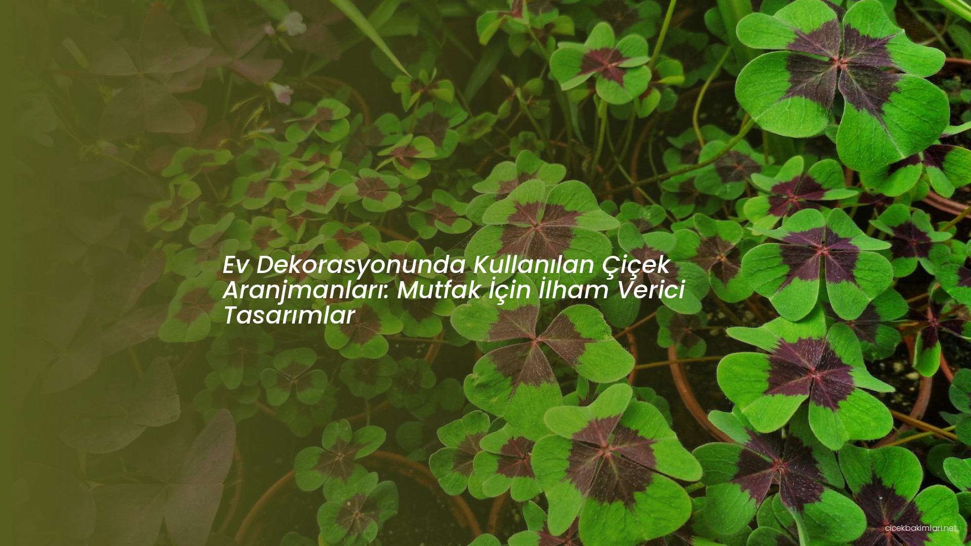 Ev Dekorasyonunda Kullanılan Çiçek Aranjmanları: Mutfak İçin İlham Verici Tasarımlar