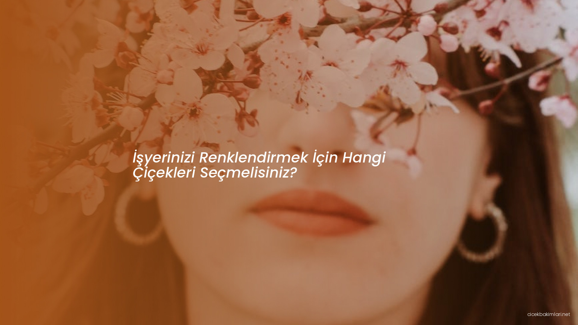 İşyerinizi Renklendirmek İçin Hangi Çiçekleri Seçmelisiniz?