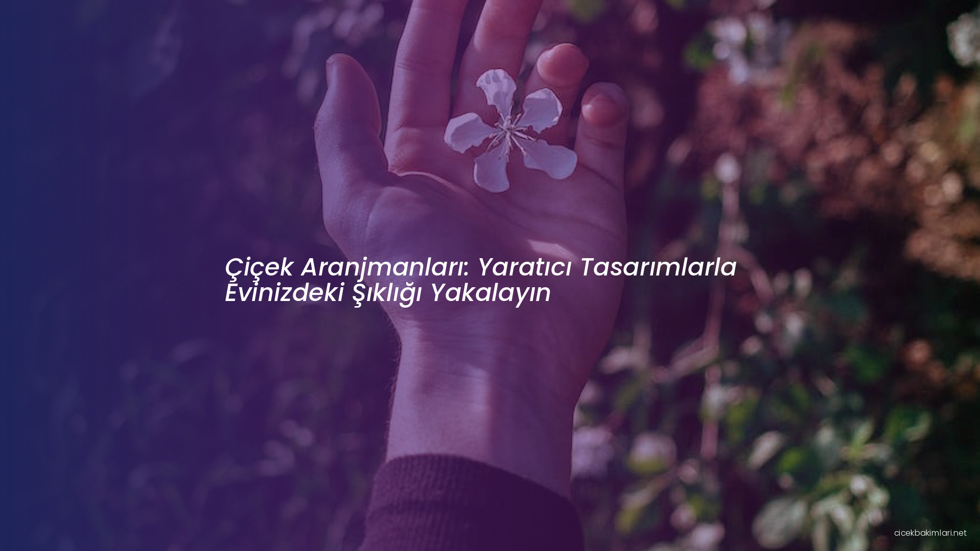 Çiçek Aranjmanları: Yaratıcı Tasarımlarla Evinizdeki Şıklığı Yakalayın