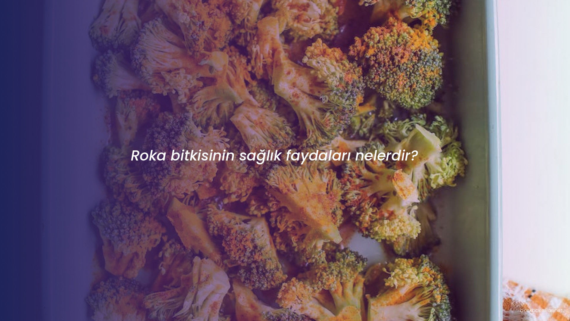 Roka bitkisinin sağlık faydaları nelerdir?