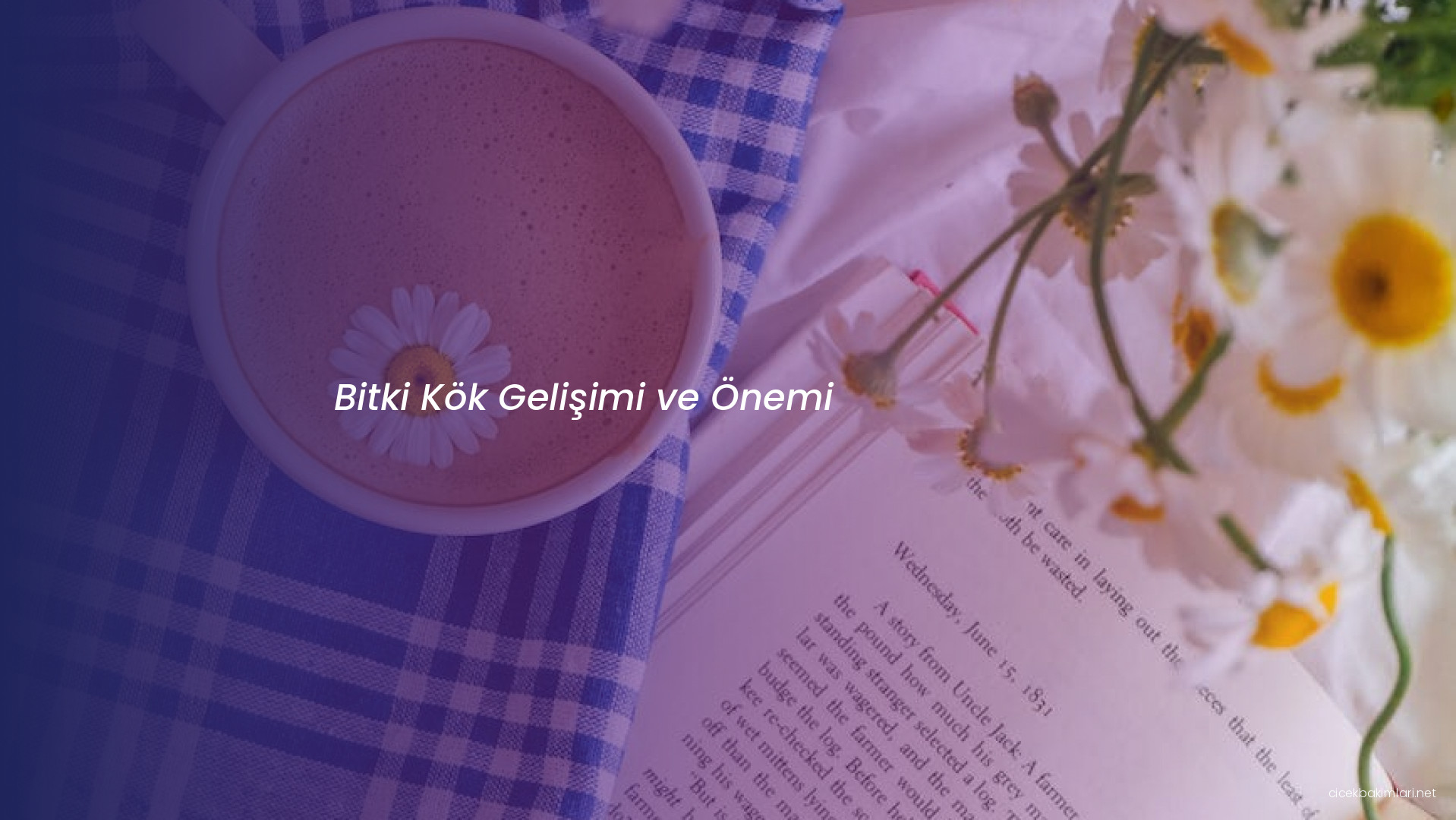 Bitki Kök Gelişimi ve Önemi