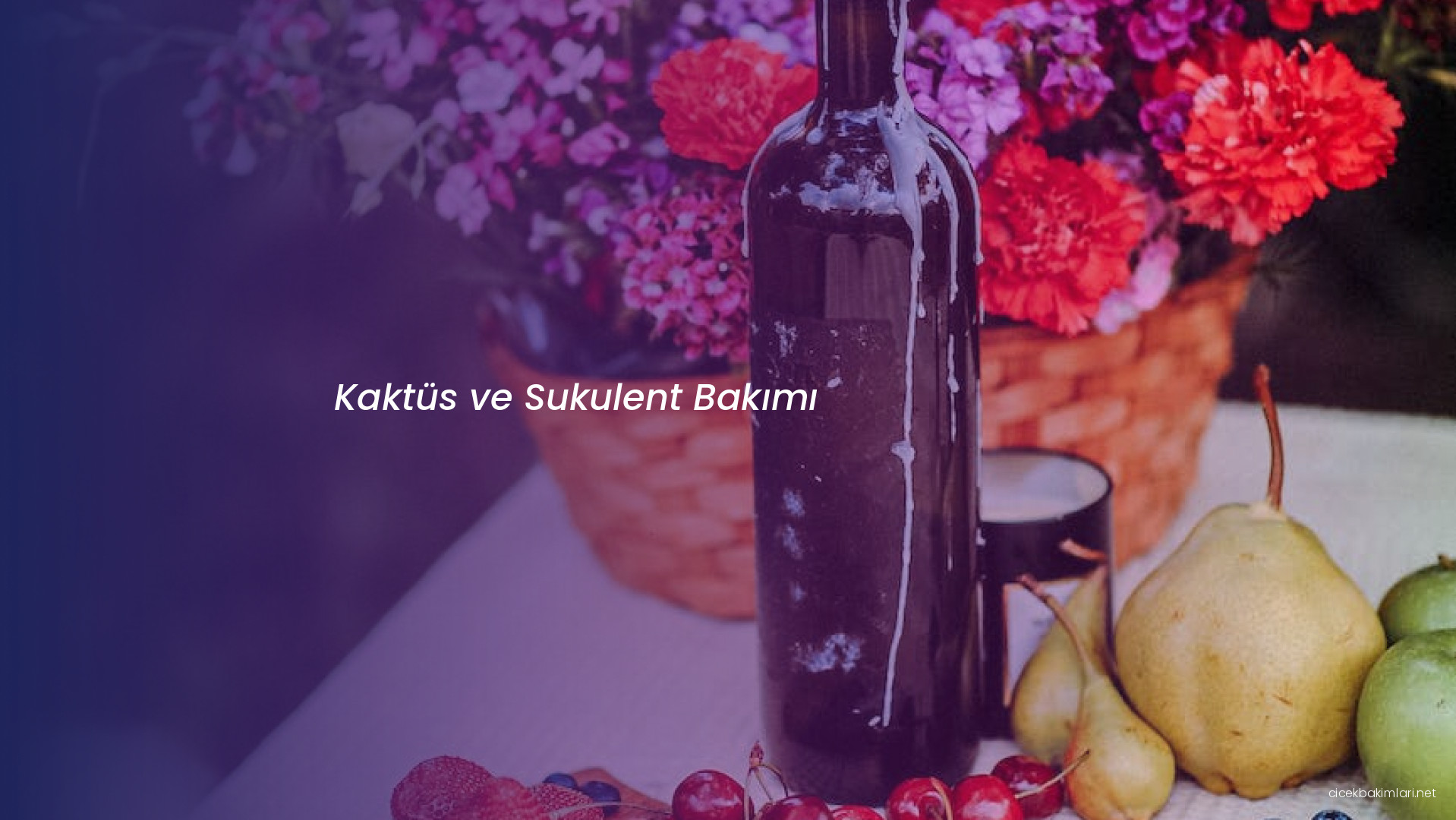 Kaktüs ve Sukulent Bakımı