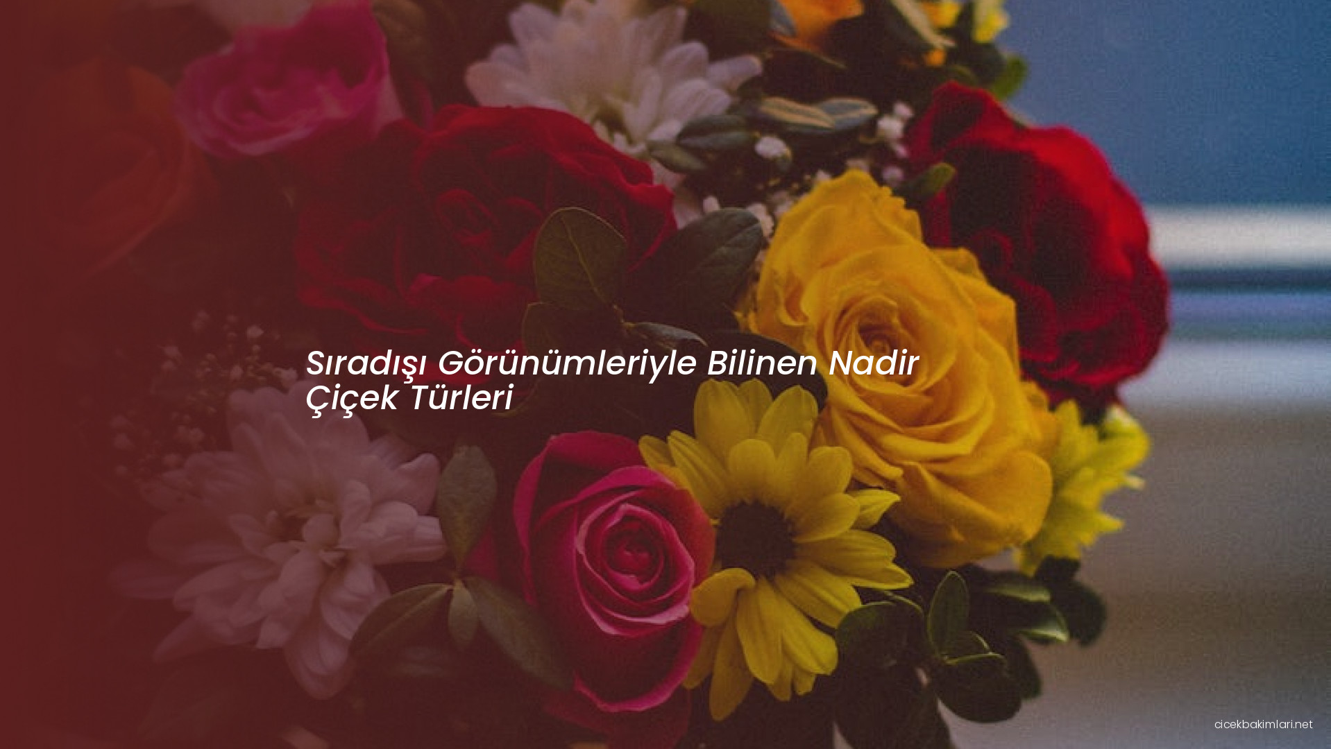 Sıradışı Görünümleriyle Bilinen Nadir Çiçek Türleri