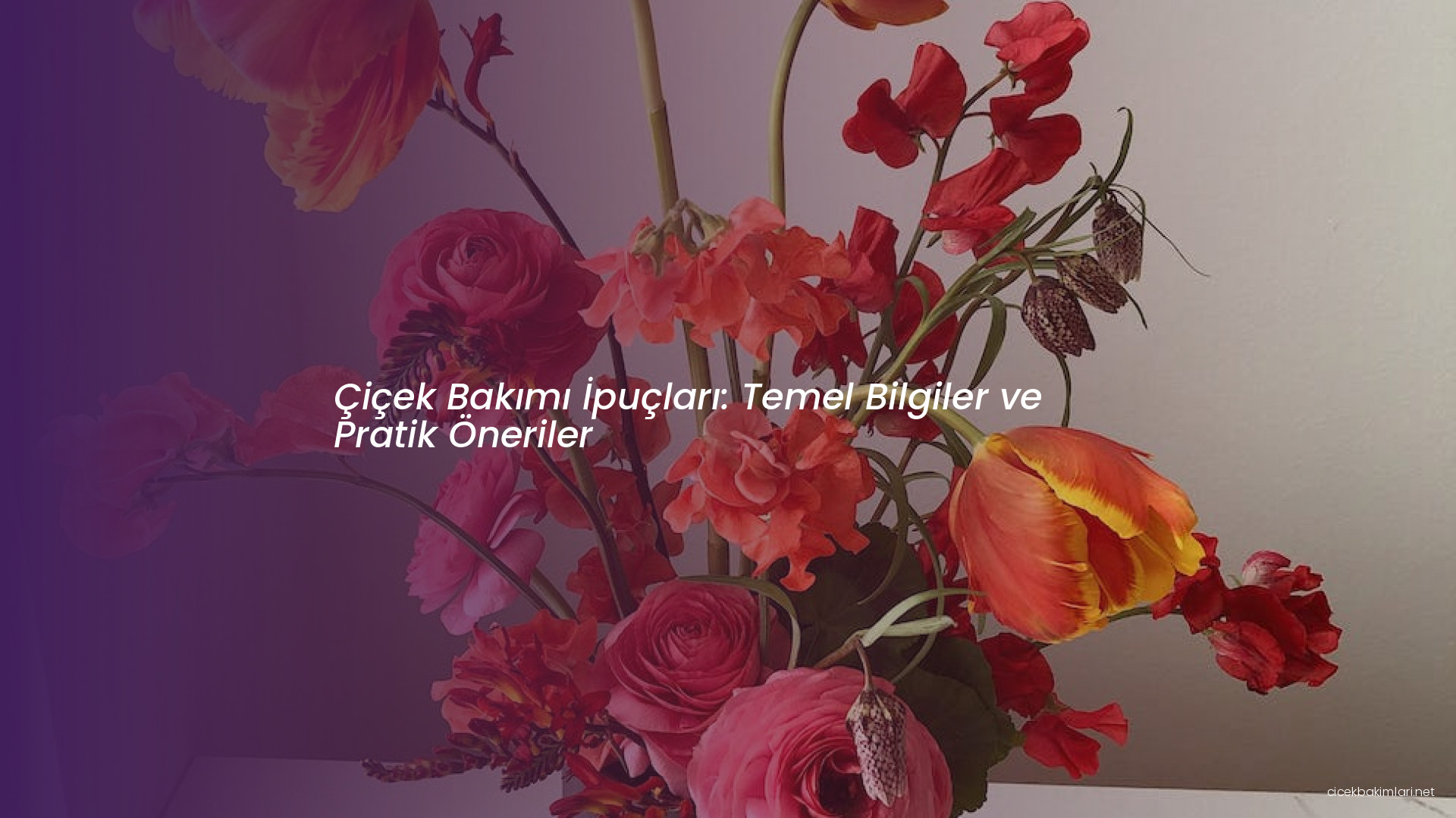 Çiçek Bakımı İpuçları: Temel Bilgiler ve Pratik Öneriler