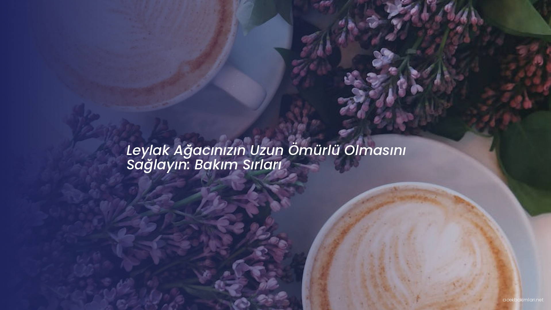 Leylak Ağacınızın Uzun Ömürlü Olmasını Sağlayın: Bakım Sırları