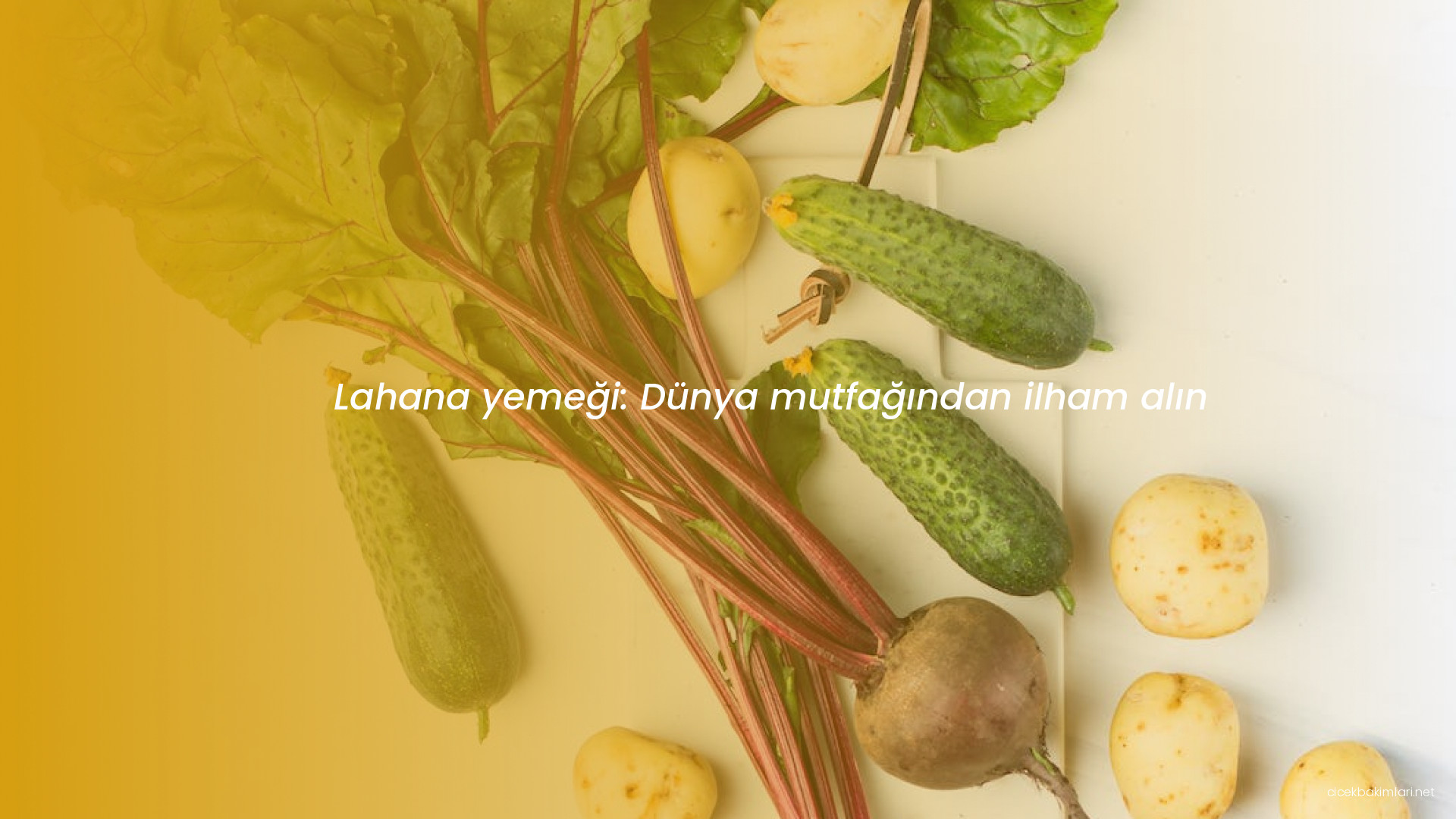 Lahana yemeği: Dünya mutfağından ilham alın