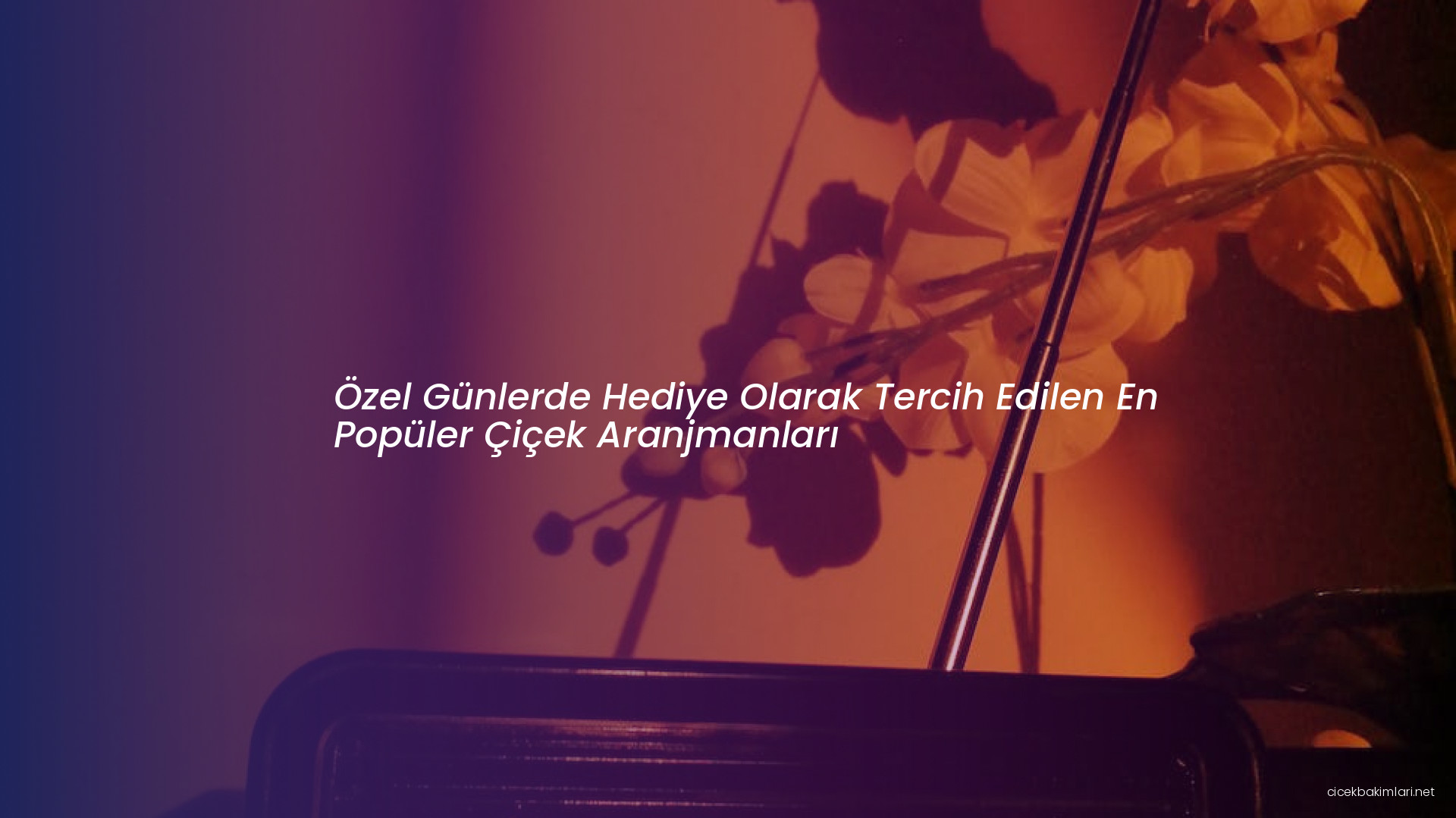 Özel Günlerde Hediye Olarak Tercih Edilen En Popüler Çiçek Aranjmanları