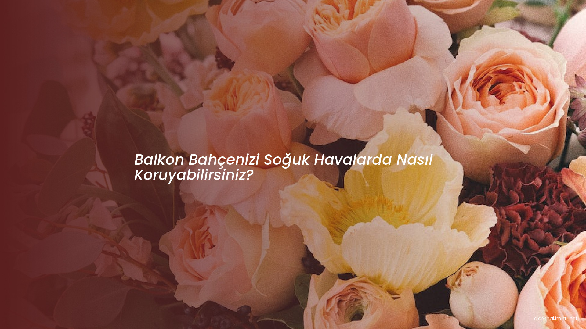 Balkon Bahçenizi Soğuk Havalarda Nasıl Koruyabilirsiniz?