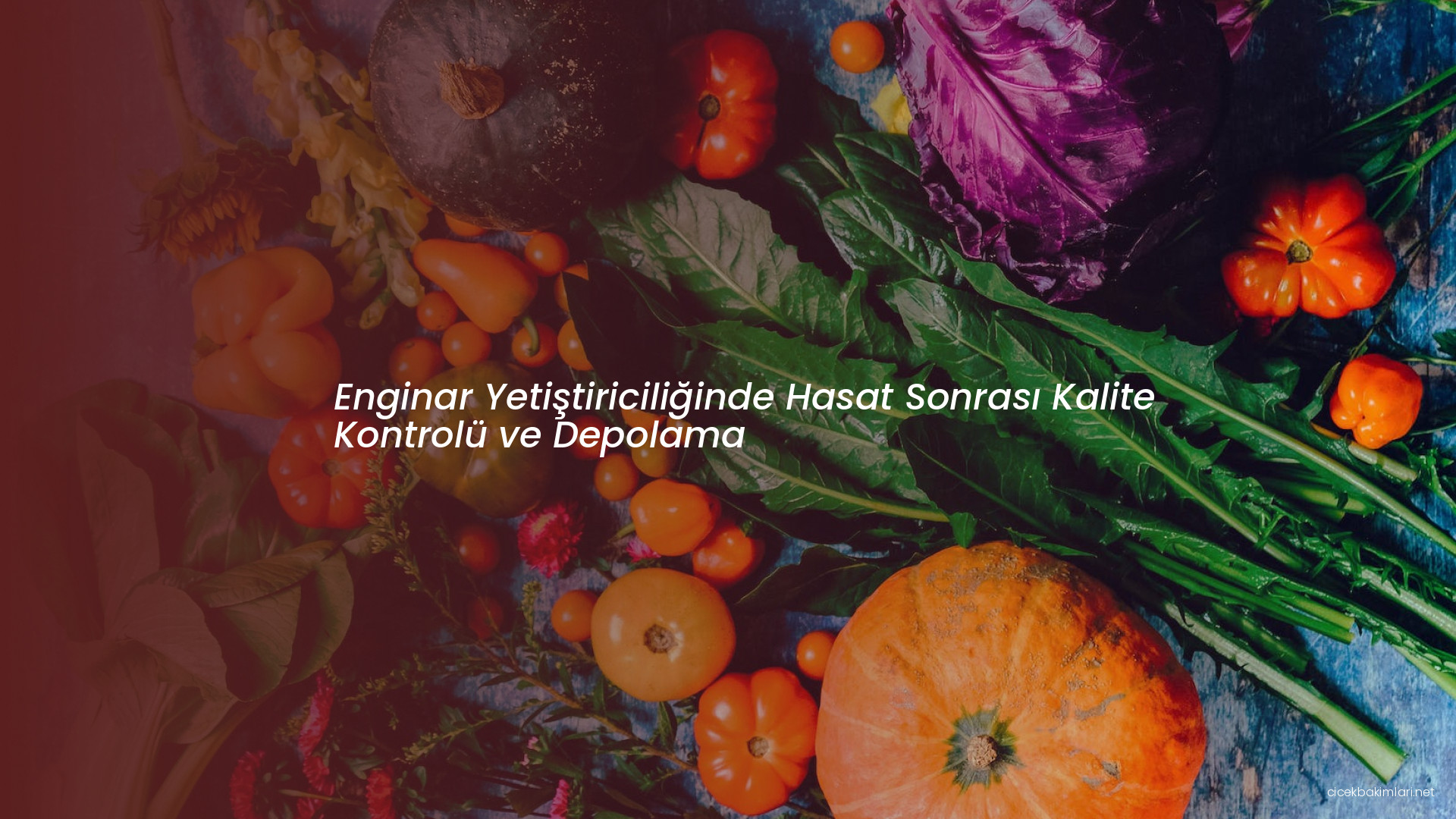 Enginar Yetiştiriciliğinde Hasat Sonrası Kalite Kontrolü ve Depolama