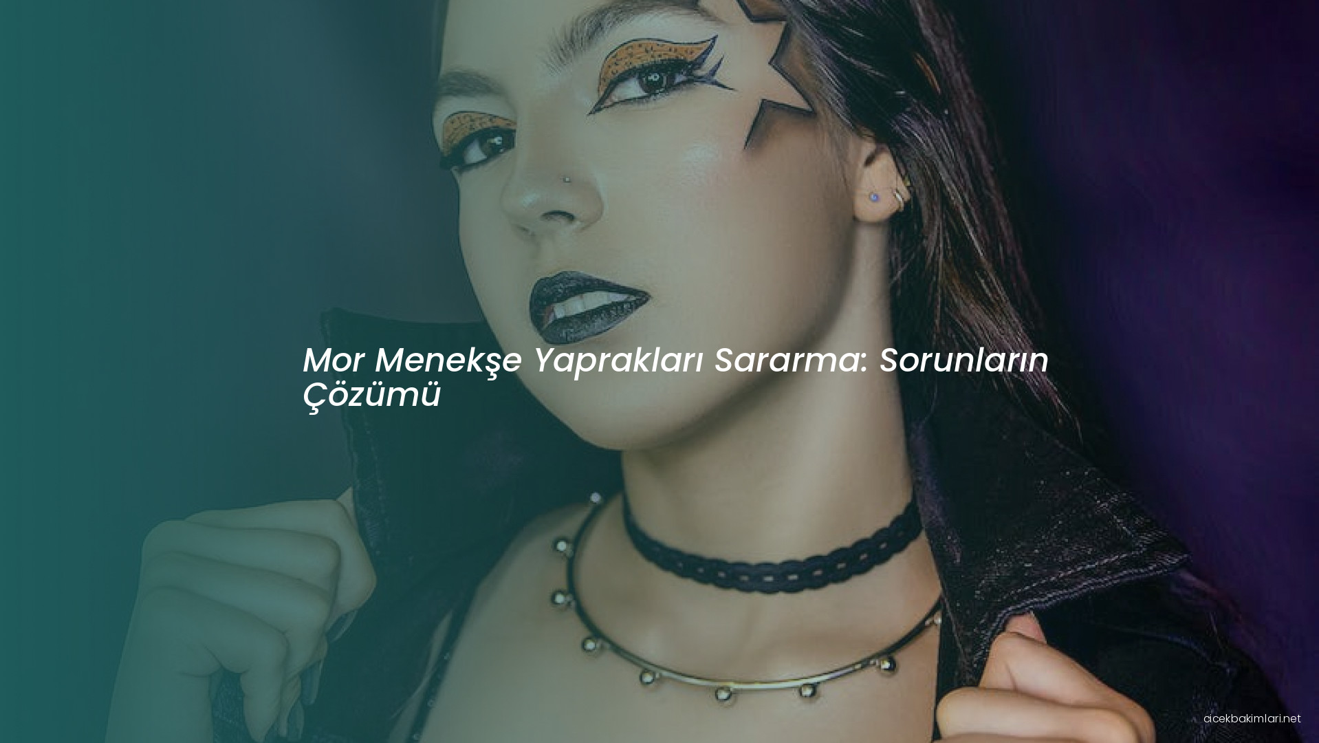 Mor Menekşe Yaprakları Sararma: Sorunların Çözümü