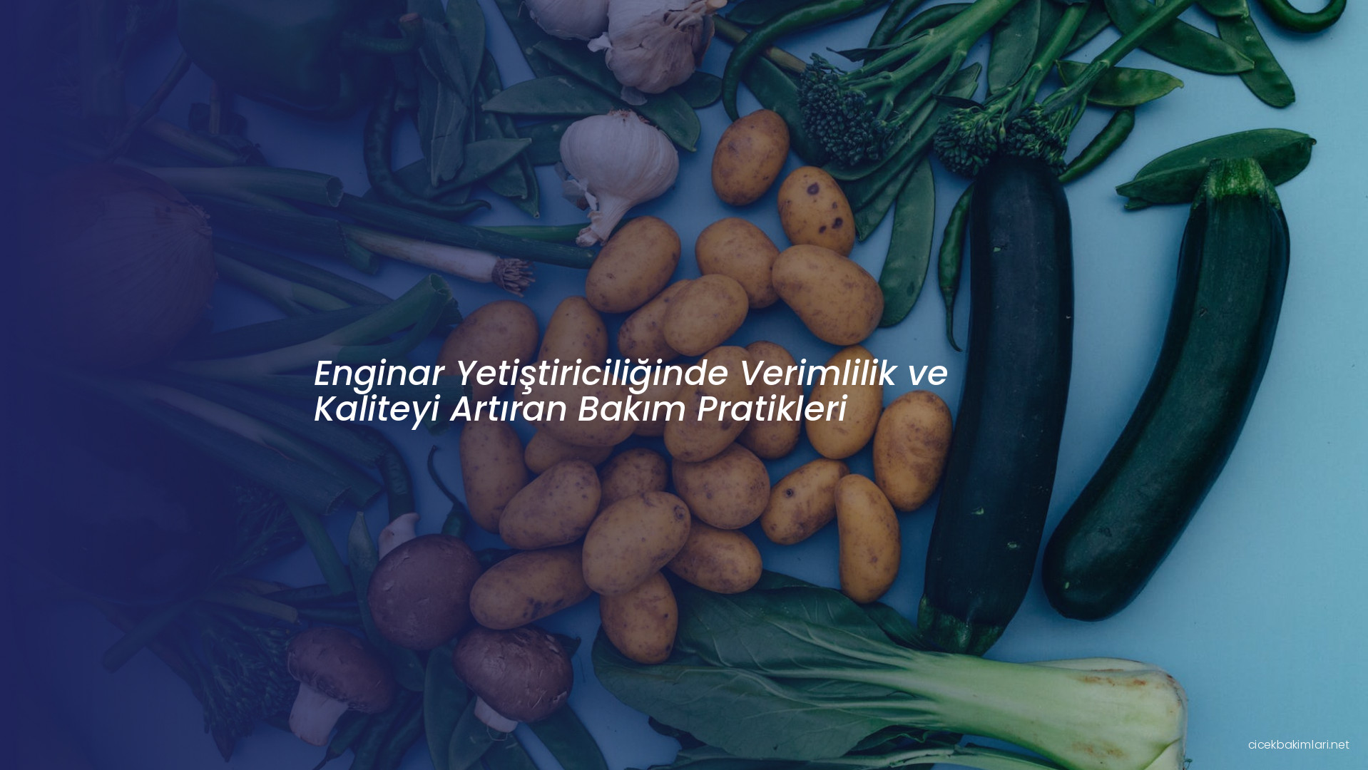 Enginar Yetiştiriciliğinde Verimlilik ve Kaliteyi Artıran Bakım Pratikleri