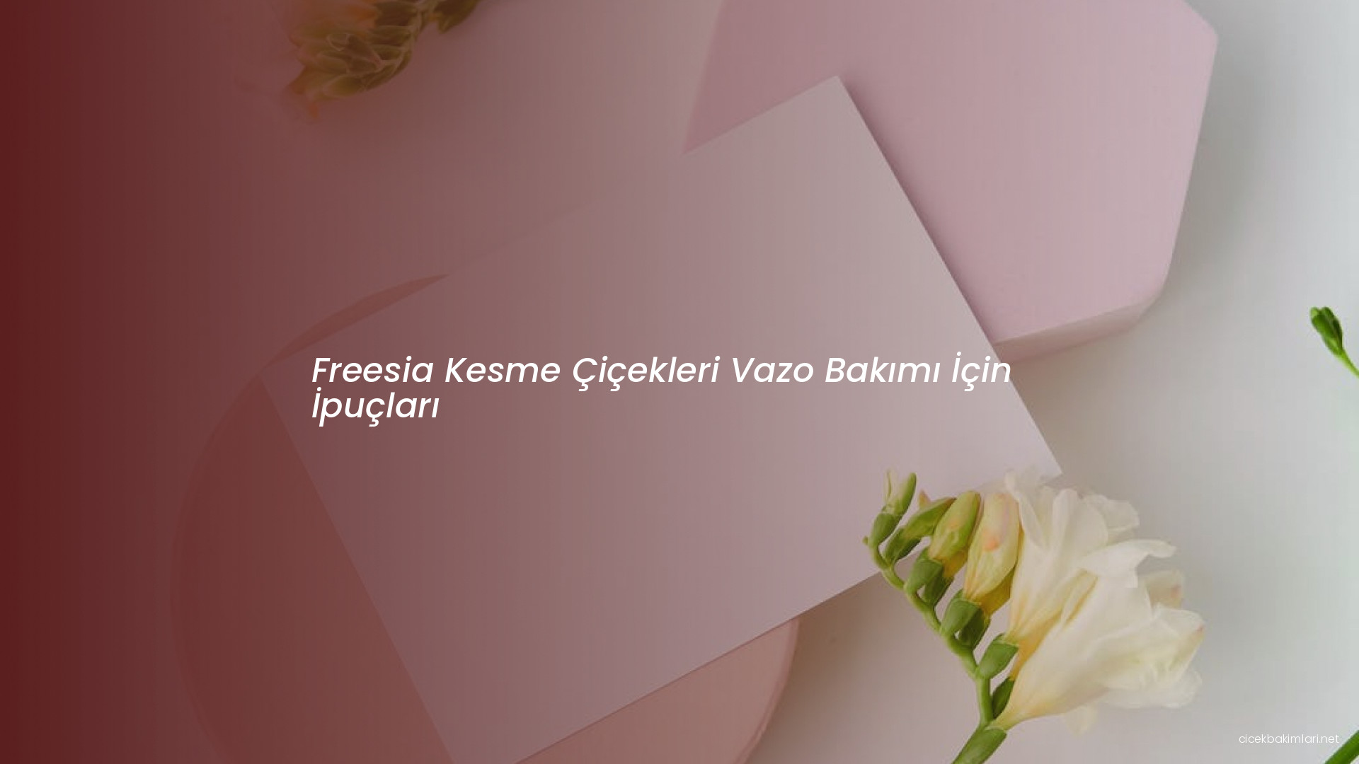 Freesia Kesme Çiçekleri Vazo Bakımı İçin İpuçları
