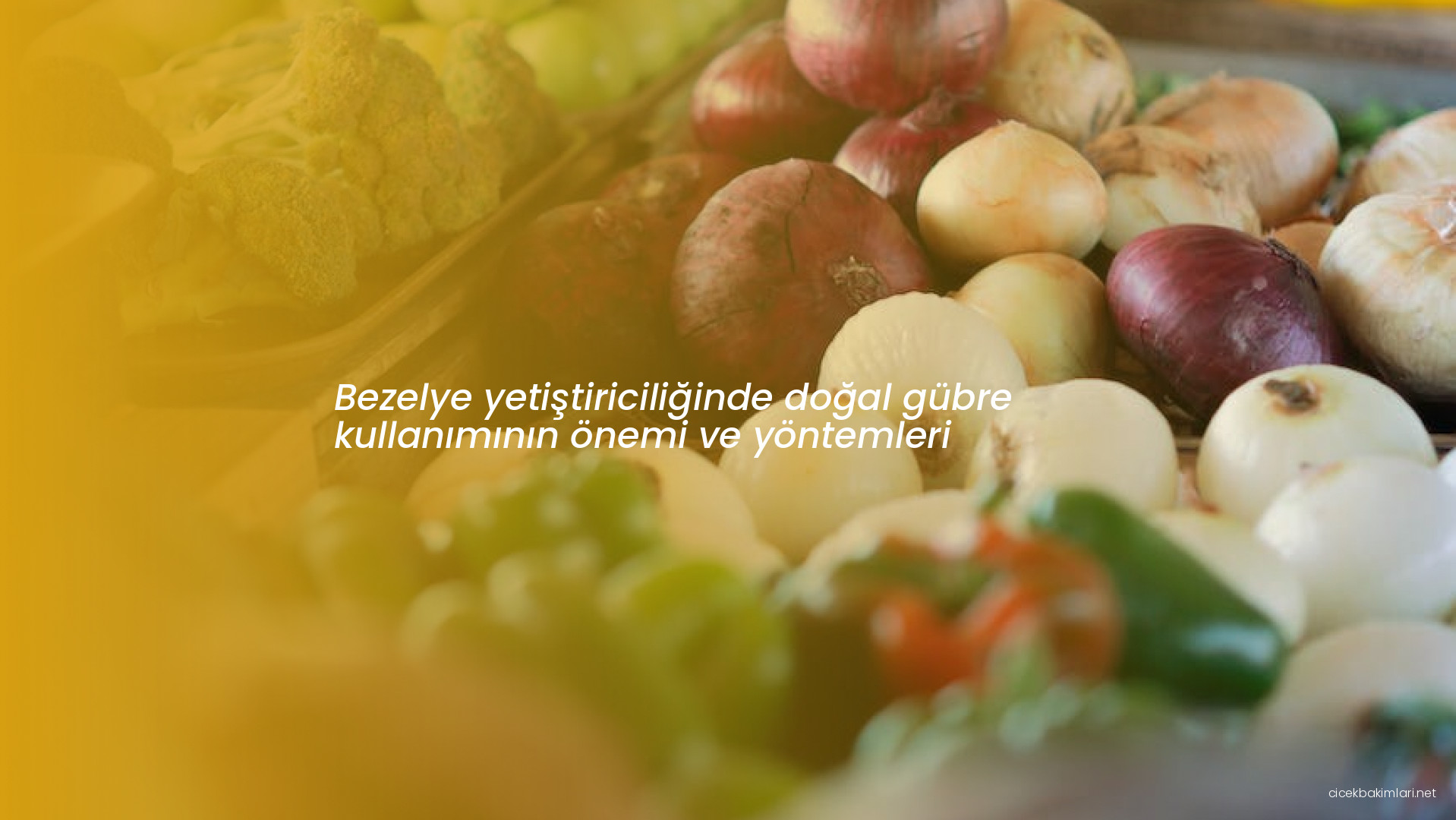 Bezelye yetiştiriciliğinde doğal gübre kullanımının önemi ve yöntemleri