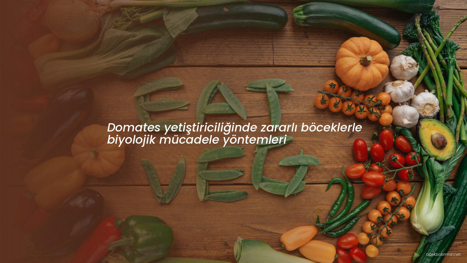 Domates yetiştiriciliğinde zararlı böceklerle biyolojik mücadele yöntemleri