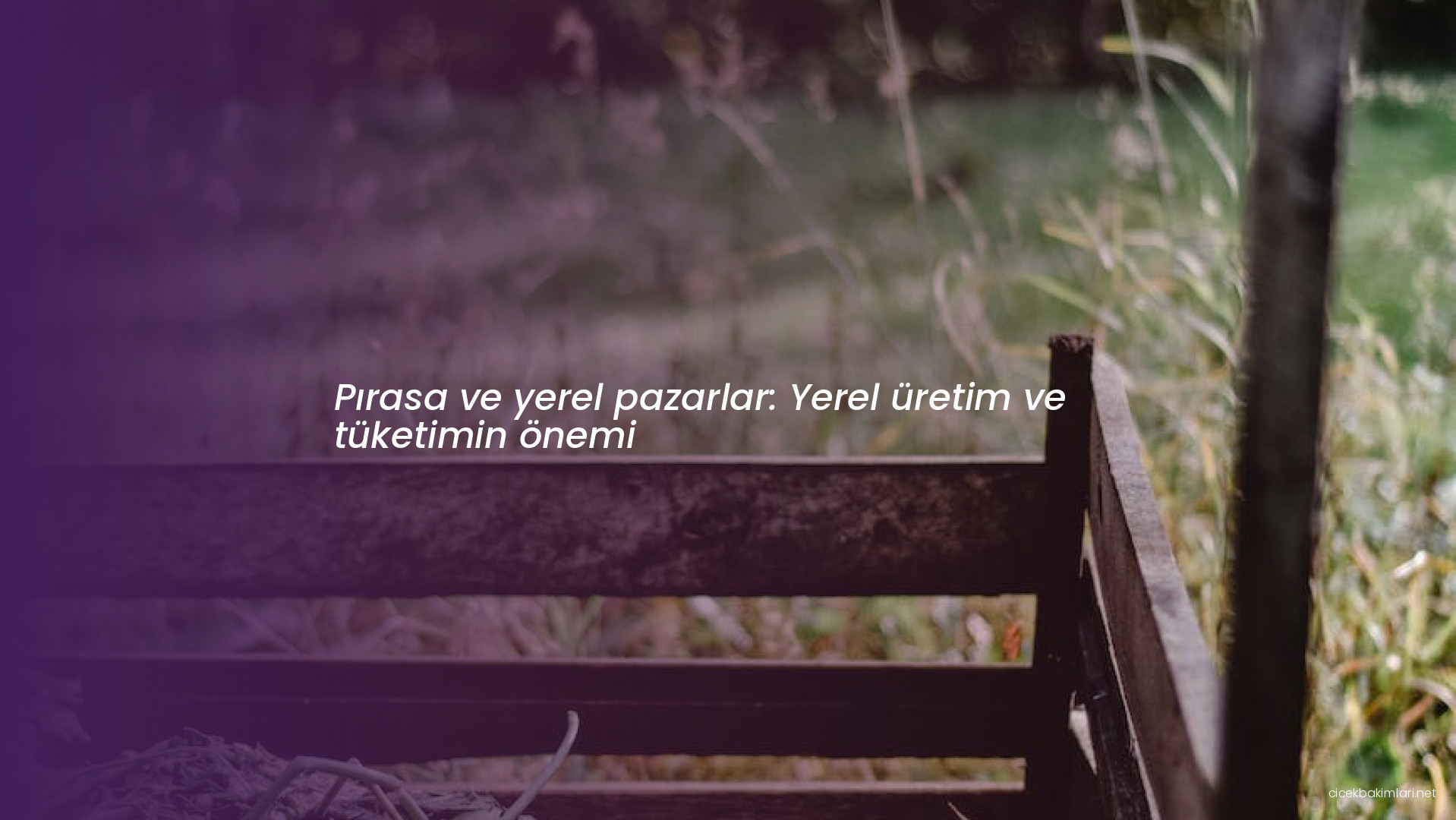 Pırasa ve yerel pazarlar: Yerel üretim ve tüketimin önemi