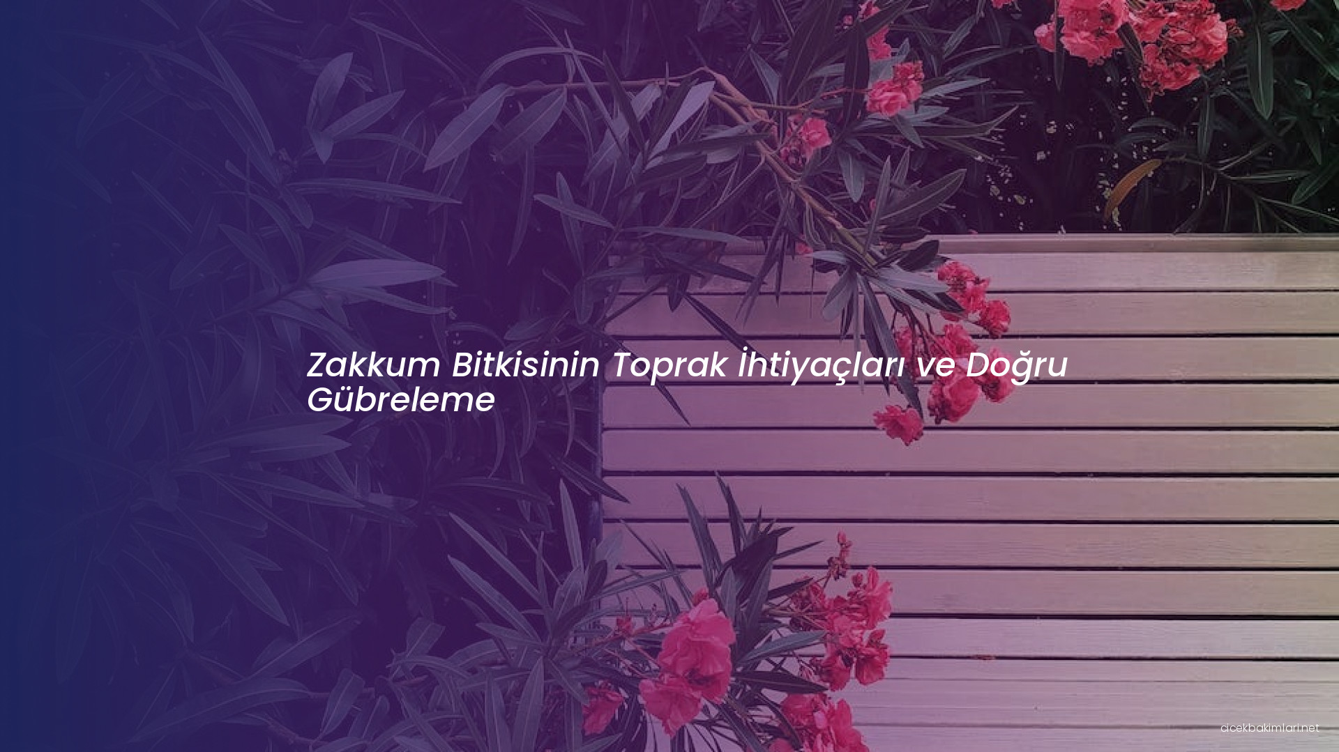 Zakkum Bitkisinin Toprak İhtiyaçları ve Doğru Gübreleme