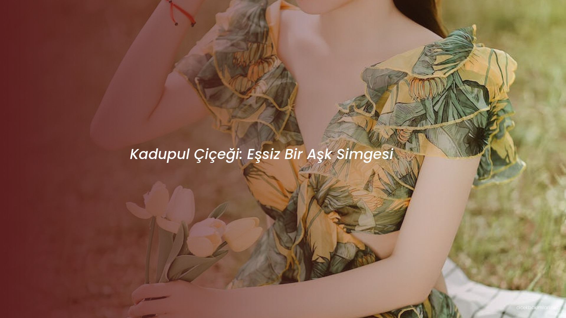 Kadupul Çiçeği: Eşsiz Bir Aşk Simgesi