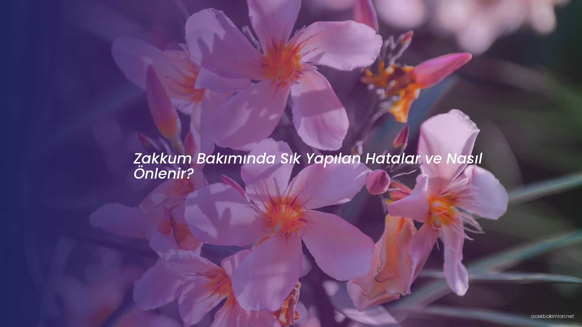 Zakkum Bakımında Sık Yapılan Hatalar ve Nasıl Önlenir?