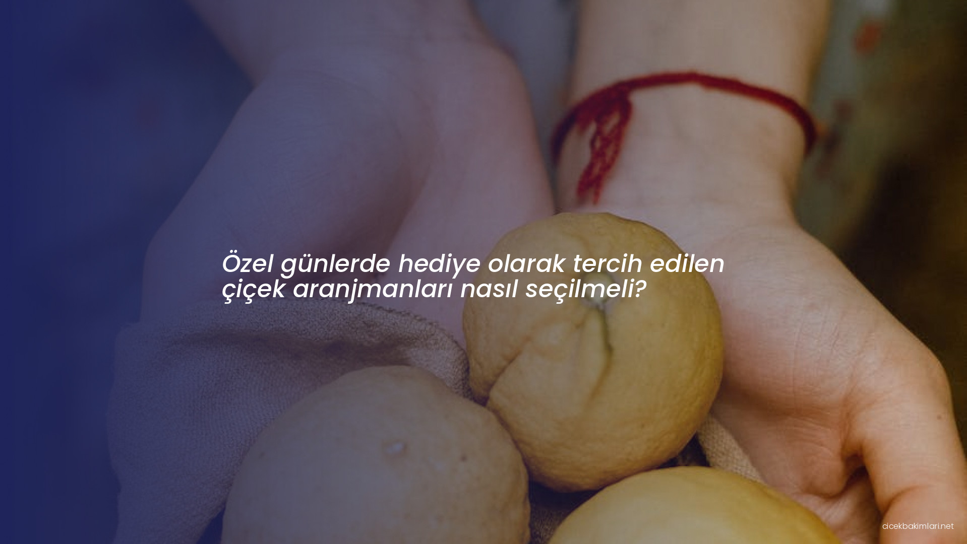 Özel günlerde hediye olarak tercih edilen çiçek aranjmanları nasıl seçilmeli?